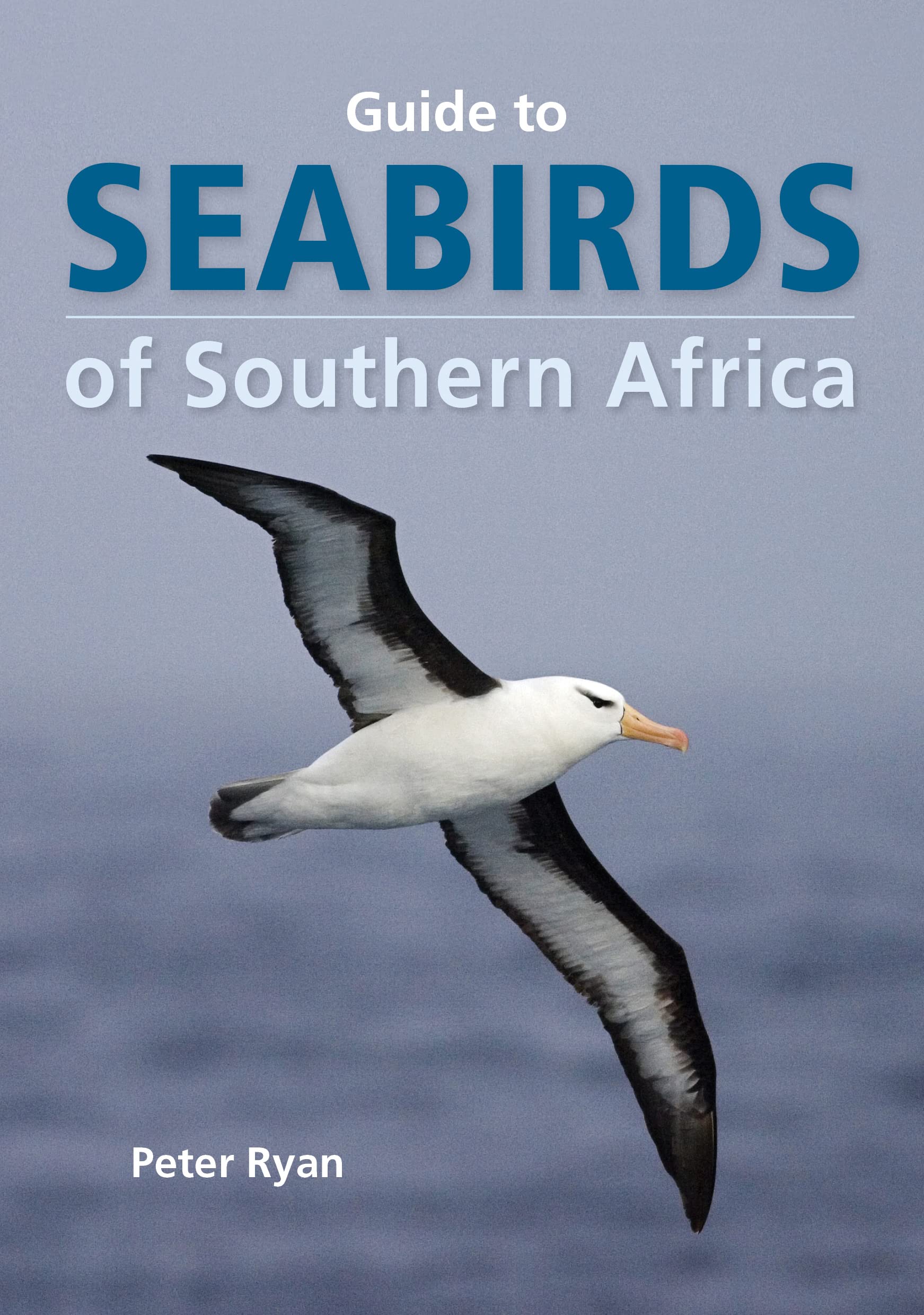 Guide to Seabirds of Southern Africa book