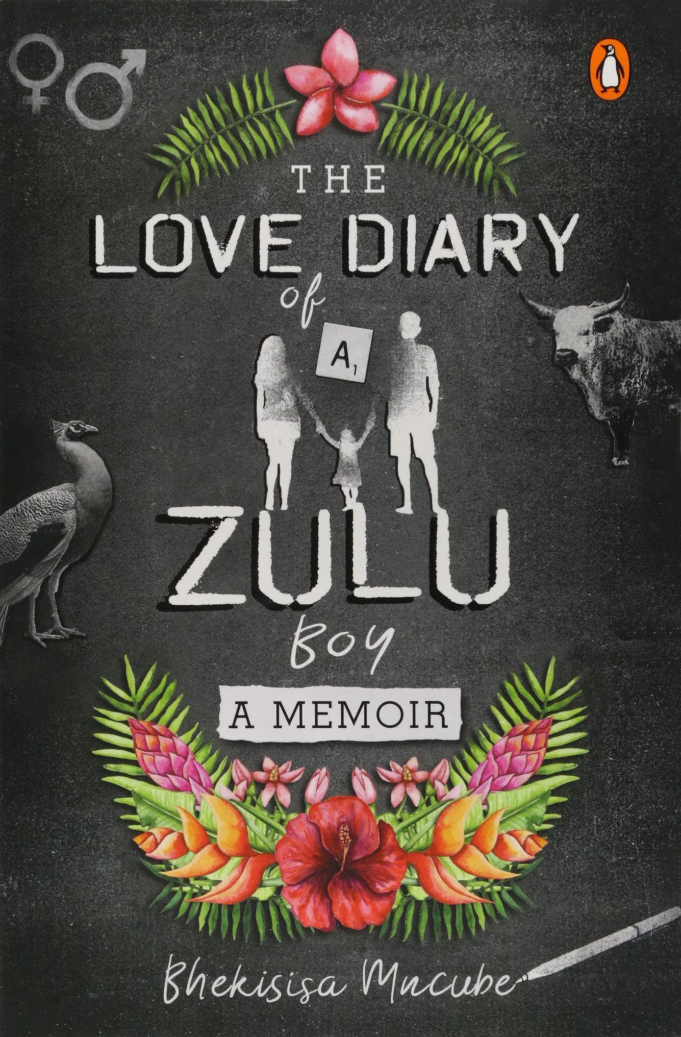 The Love Diary of a Zulu Boy Social Sciences