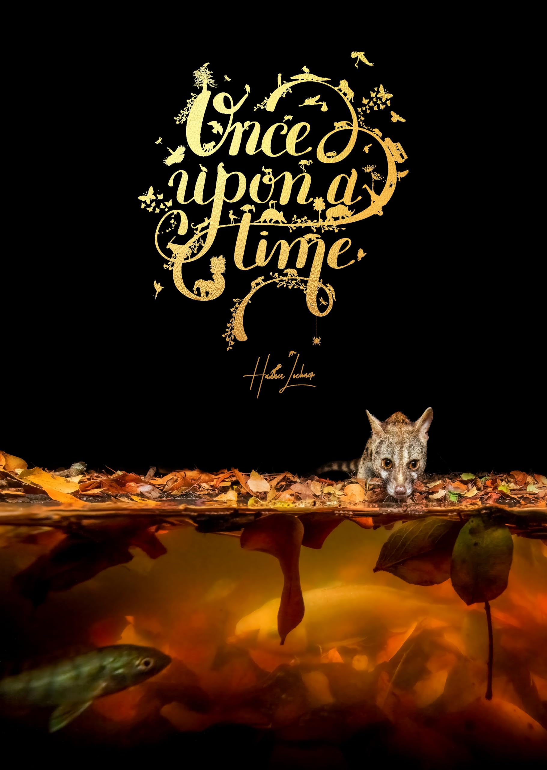 Once upon a Time: An Intimate Insight Through Storytelling and Wildlife Photography. Mathematics
