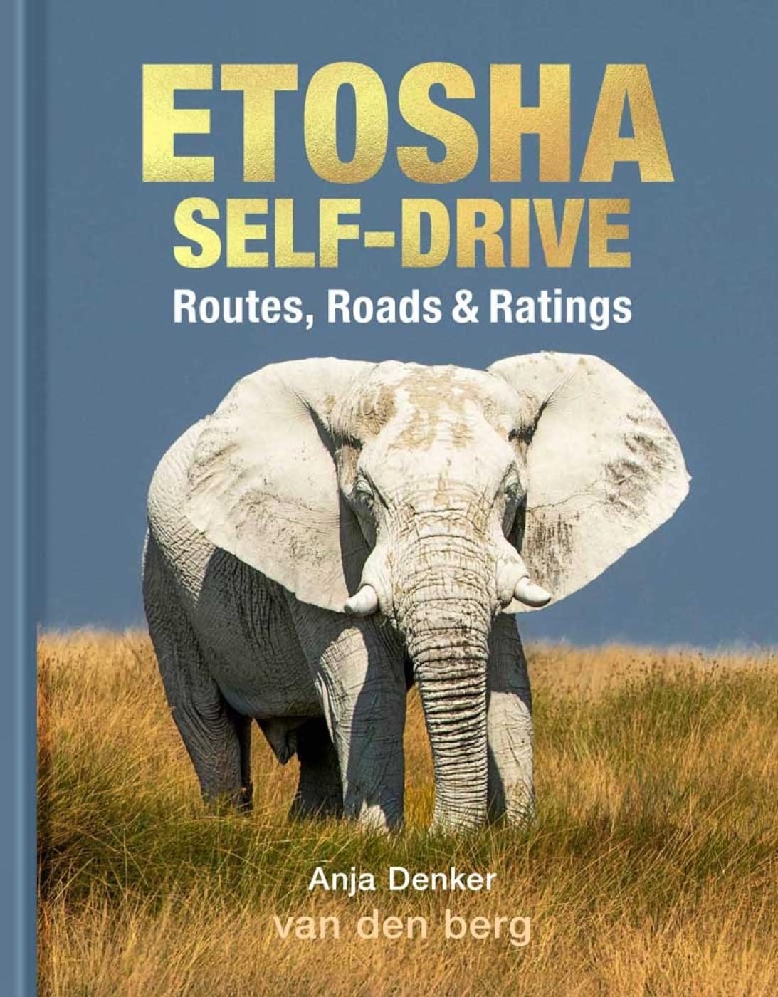 Etosha Self-drive: Routes, Roads & Ratings Leisure, Home & Garden