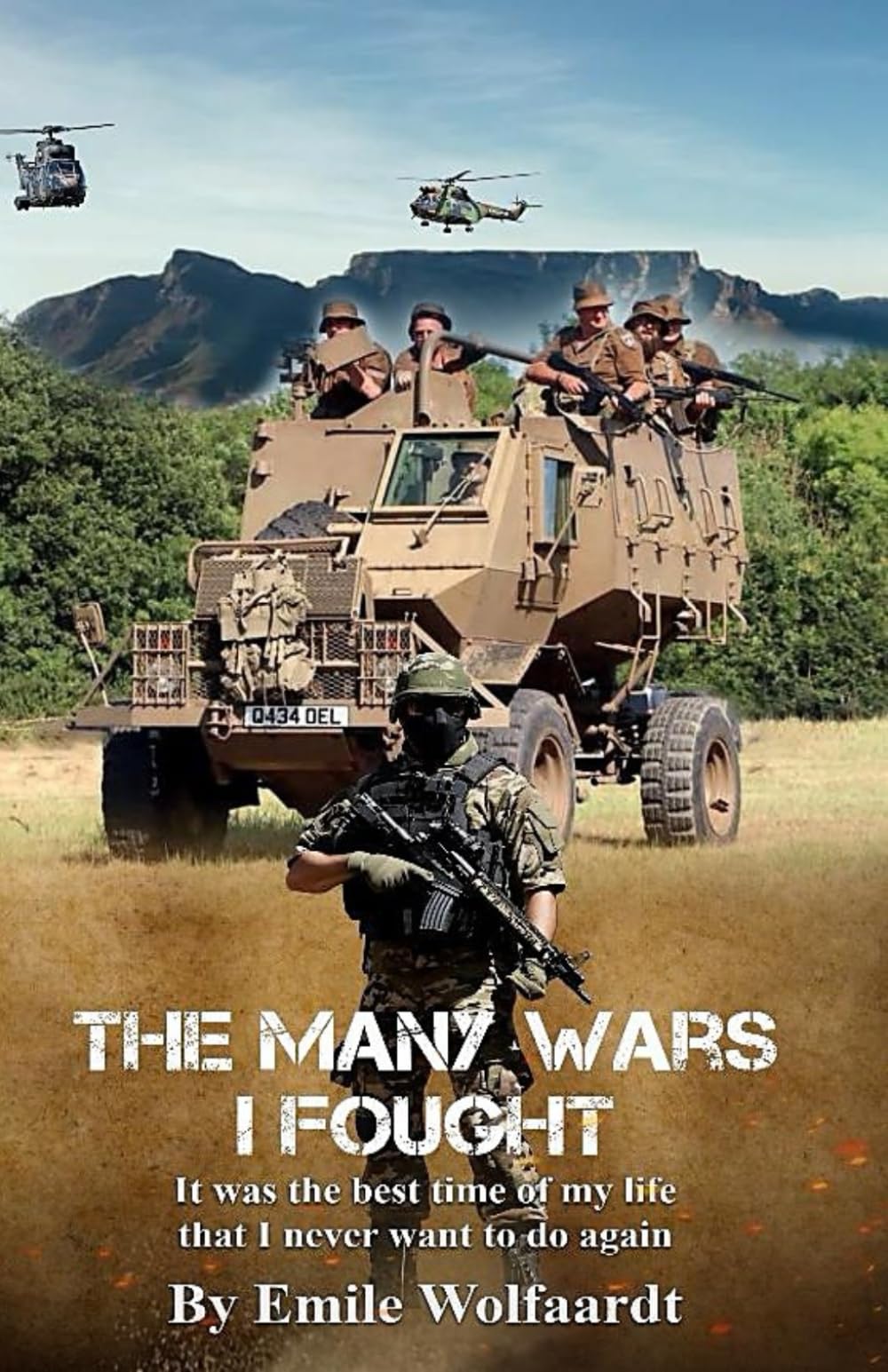The Many Wars I Fought: It was the best time of my life that I never want to do again Art & Literature