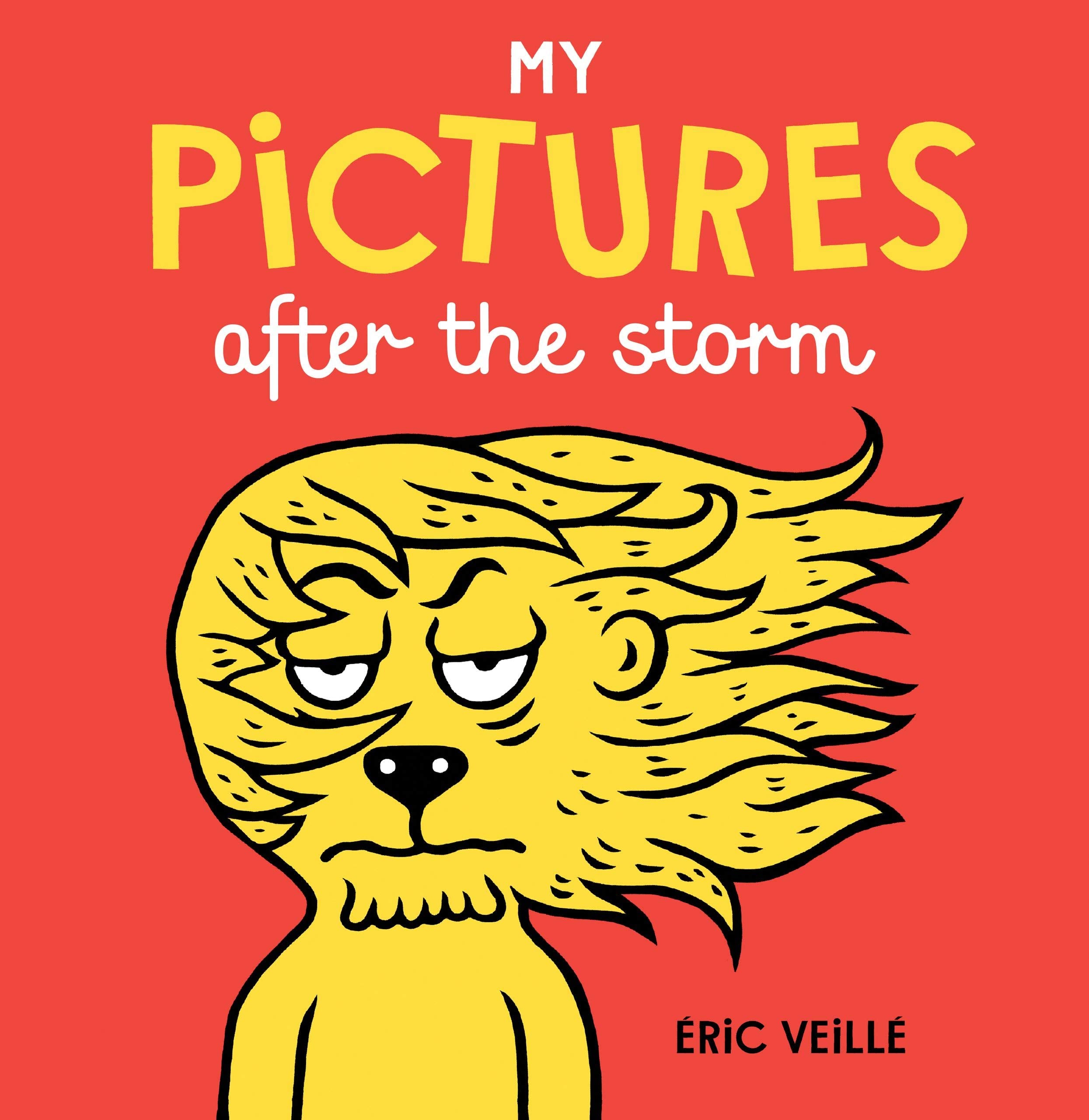 My Pictures After the Storm Non-fiction