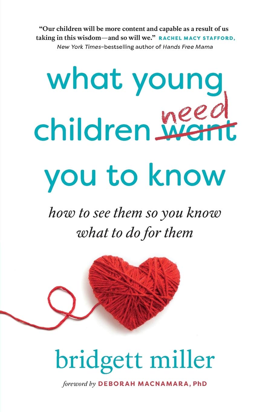What Young Children Need You to Know: How to see them so you know what to do for them Parents & Children