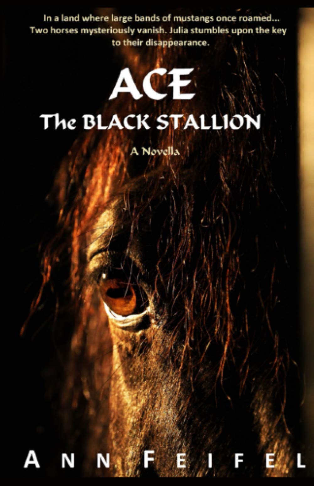 Ace, The Black Stallion (Mystery Horse Lover's, Band 1) Books