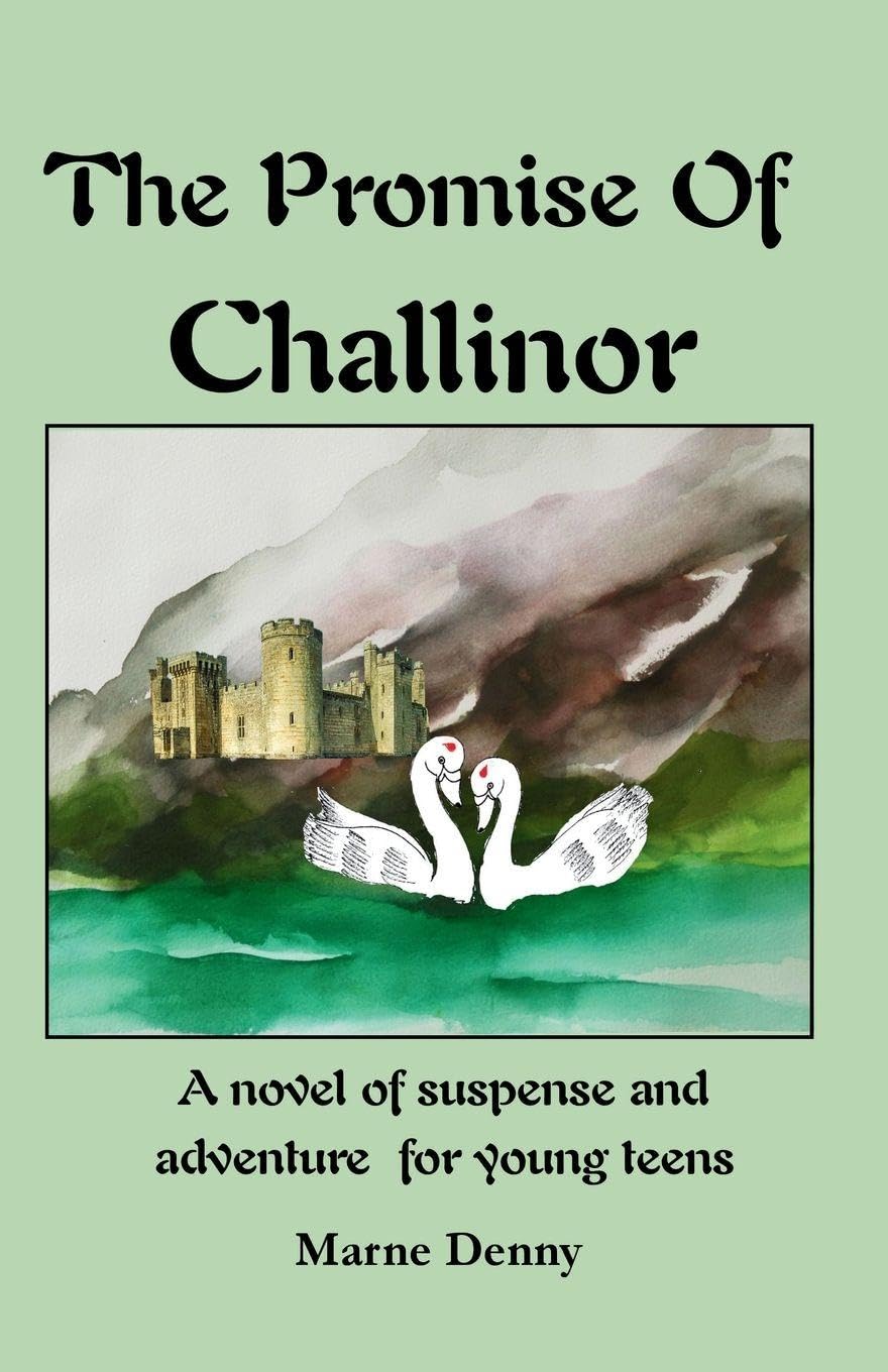 The Promise Of Challinor Fiction