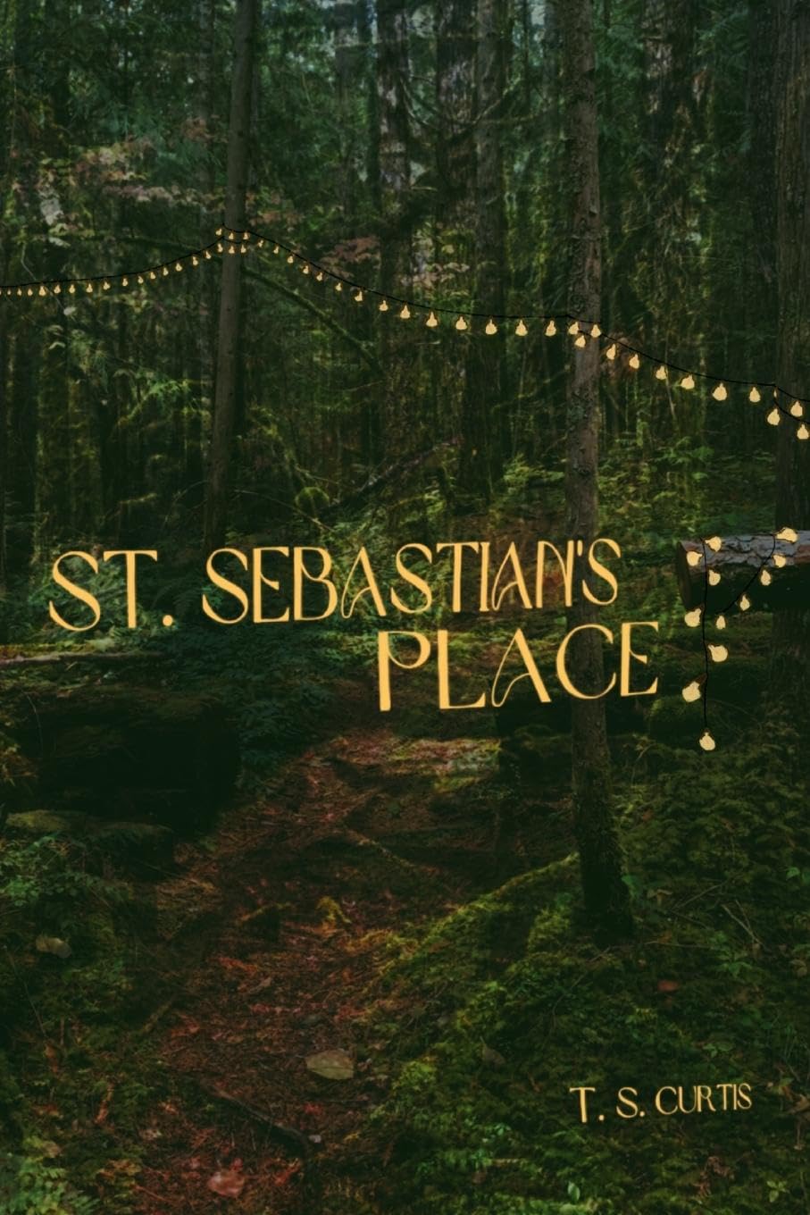 Product Image: St. Sebastian's Place