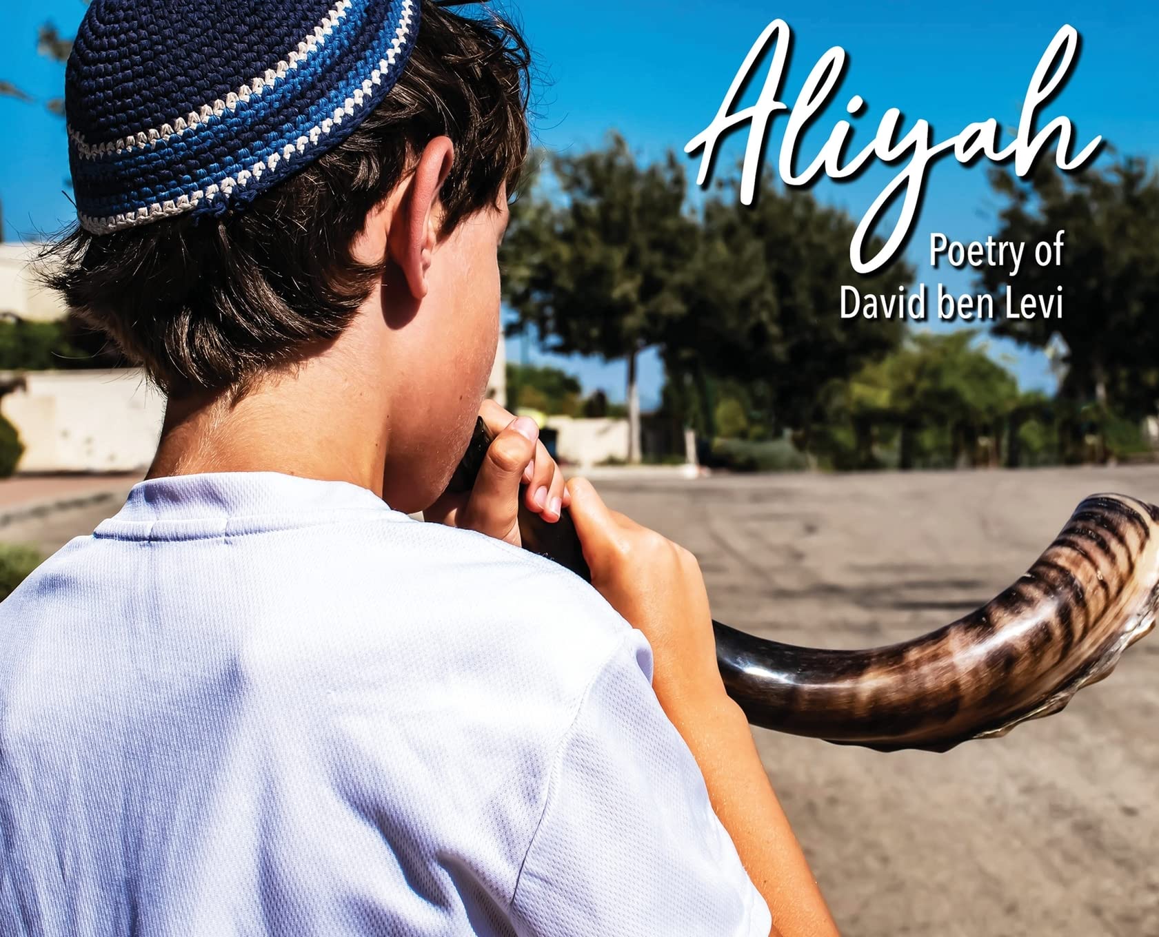 Aliyah: The Poetry of David benLevi book