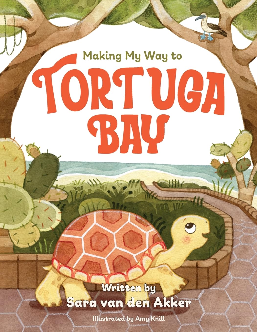 Making My Way to Tortuga Bay Non-fiction