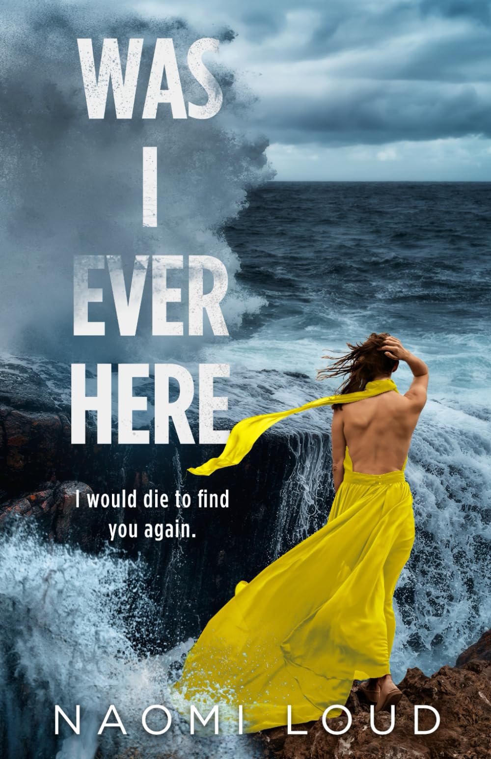 Was I Ever Here Contemporary literature Books