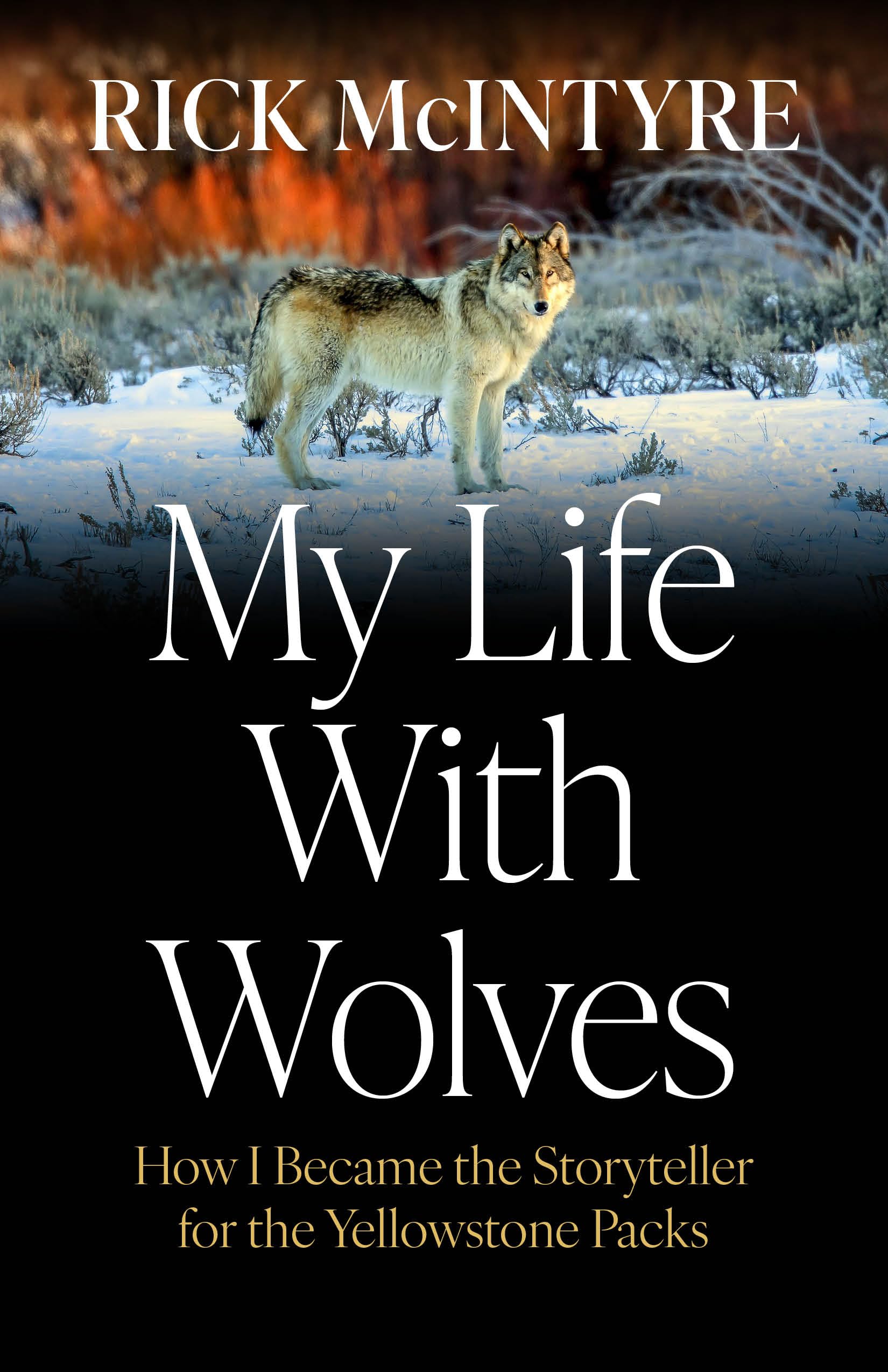 My Life With Wolves: How I Became the Storyteller for the Yellowstone Packs Sports