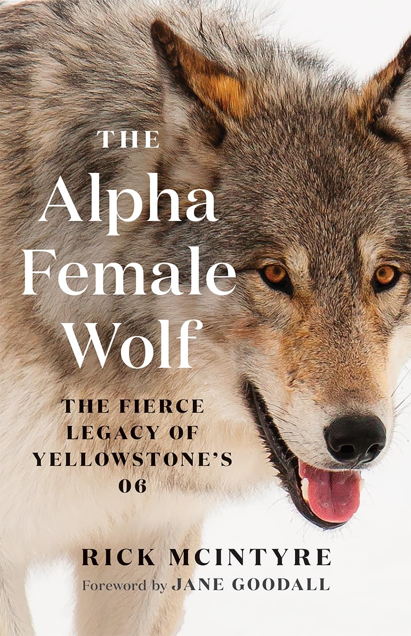 The Alpha Female Wolf: The Fierce Legacy of Yellowstone's 06 (The Alpha Wolves of Yellowstone, Band 4) Science Books