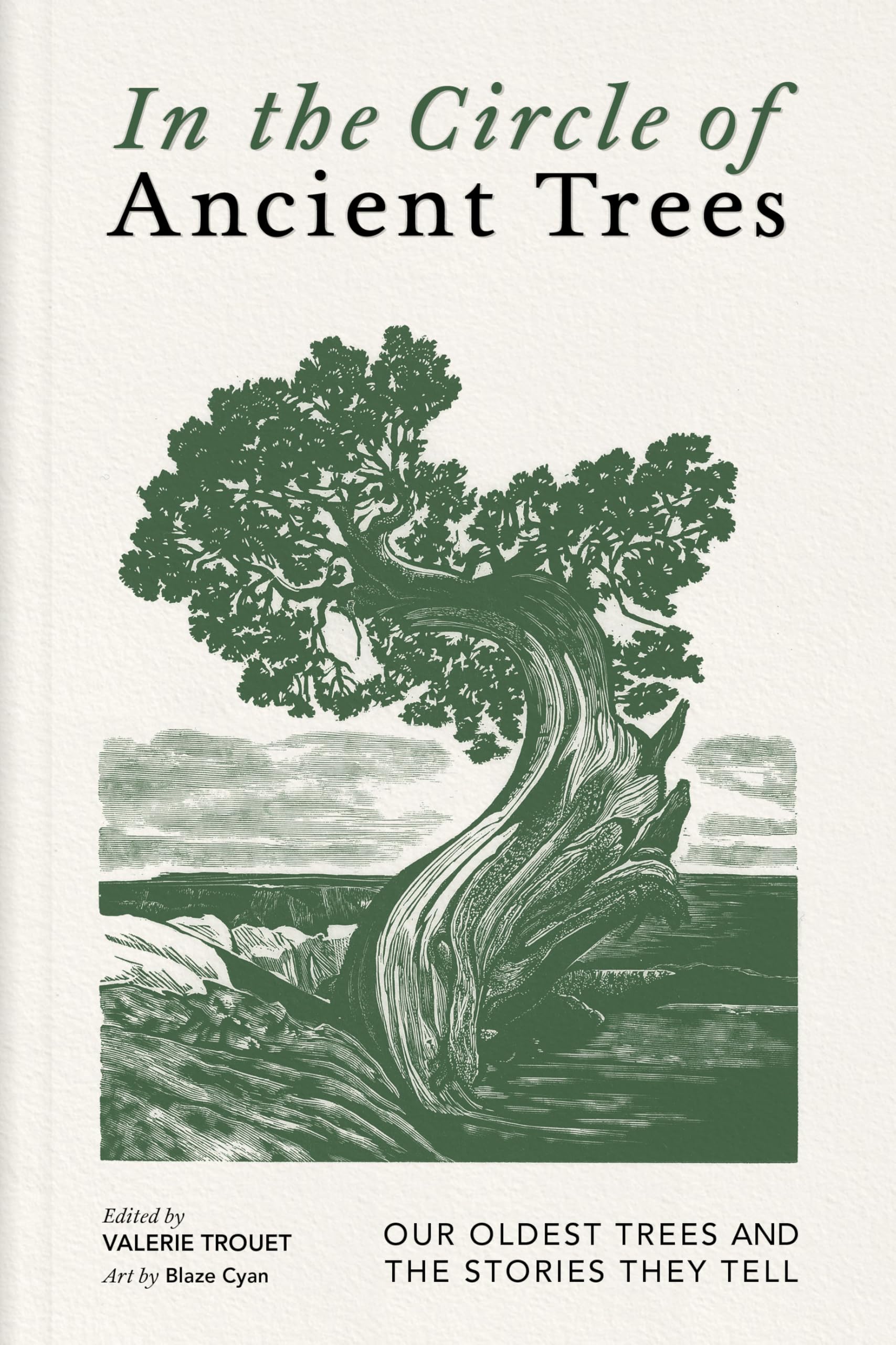 In the Circle of Ancient Trees: Our Oldest Trees and the Stories They Tell Geology & Geography
