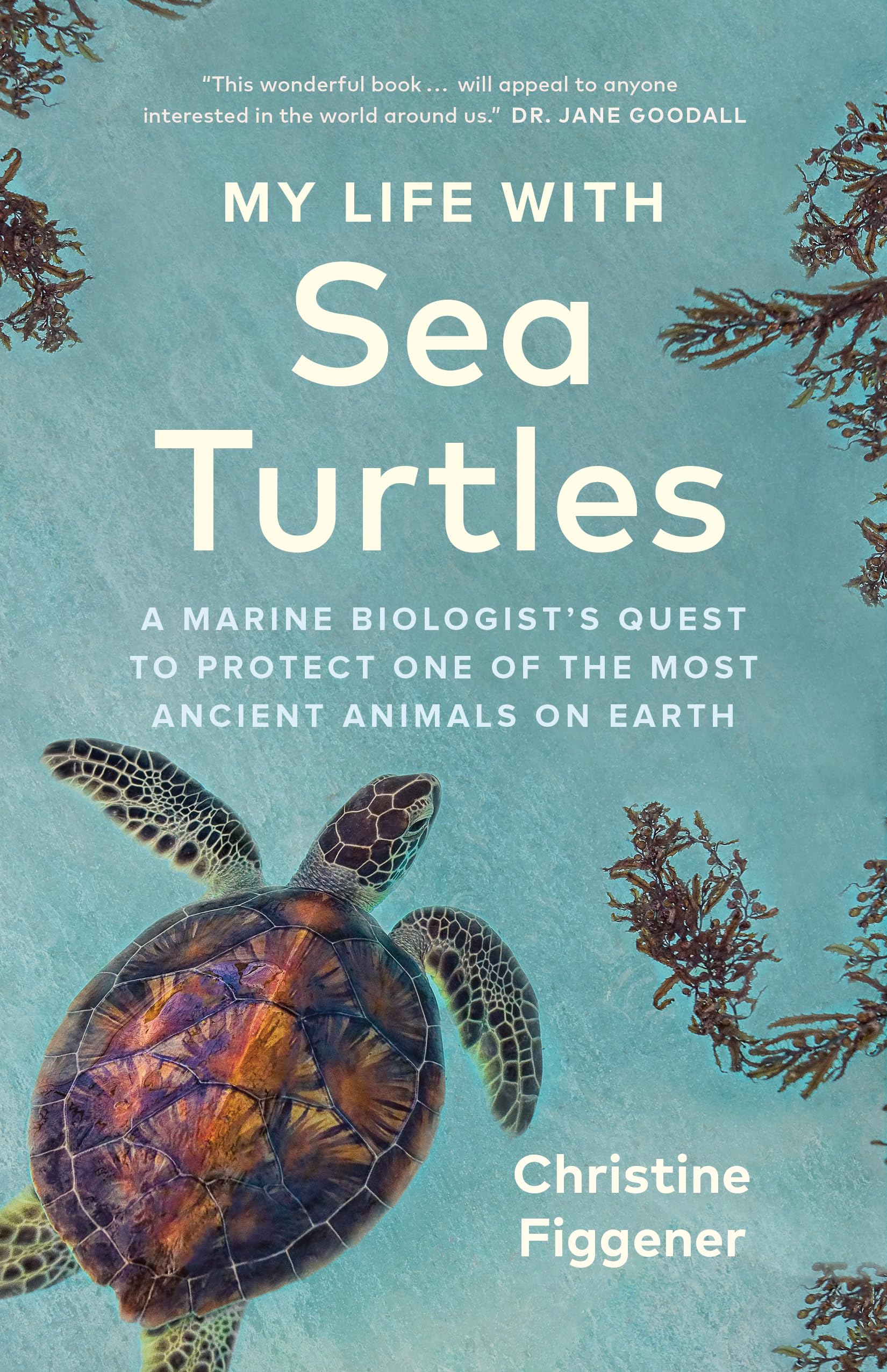 My Life with Sea Turtles Partnership & Love