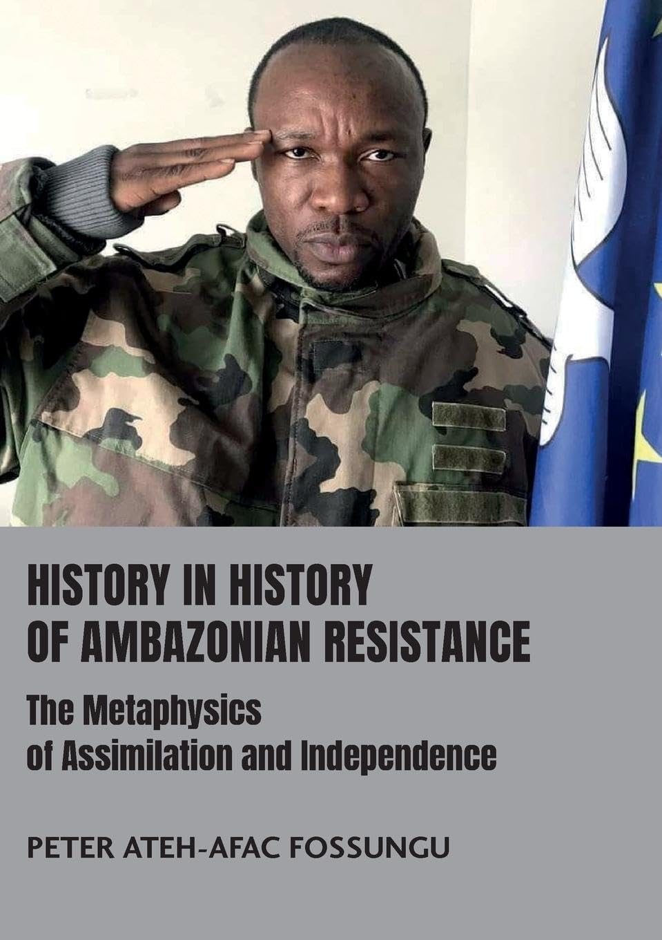 History in History of Ambazonian Resistance Politics & History