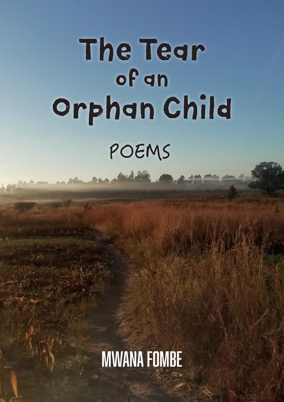 The tear of an orphan child Poetry