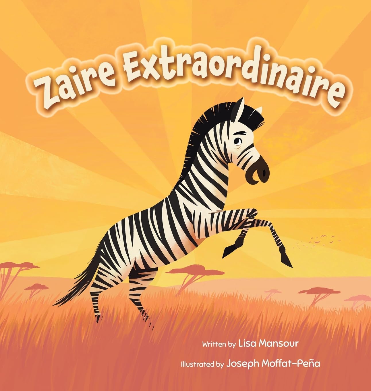 Zaire Extraordinaire Novels & Short Stories