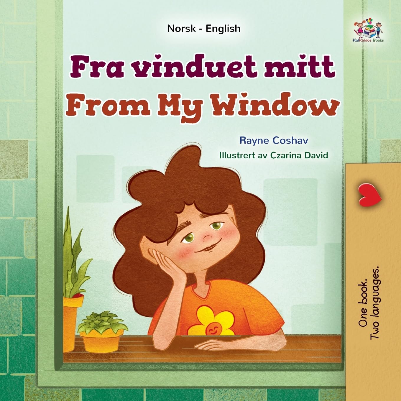 From My Window (Norwegian English Bilingual Kids Book) Foreign Languages ​​& Dictionaries