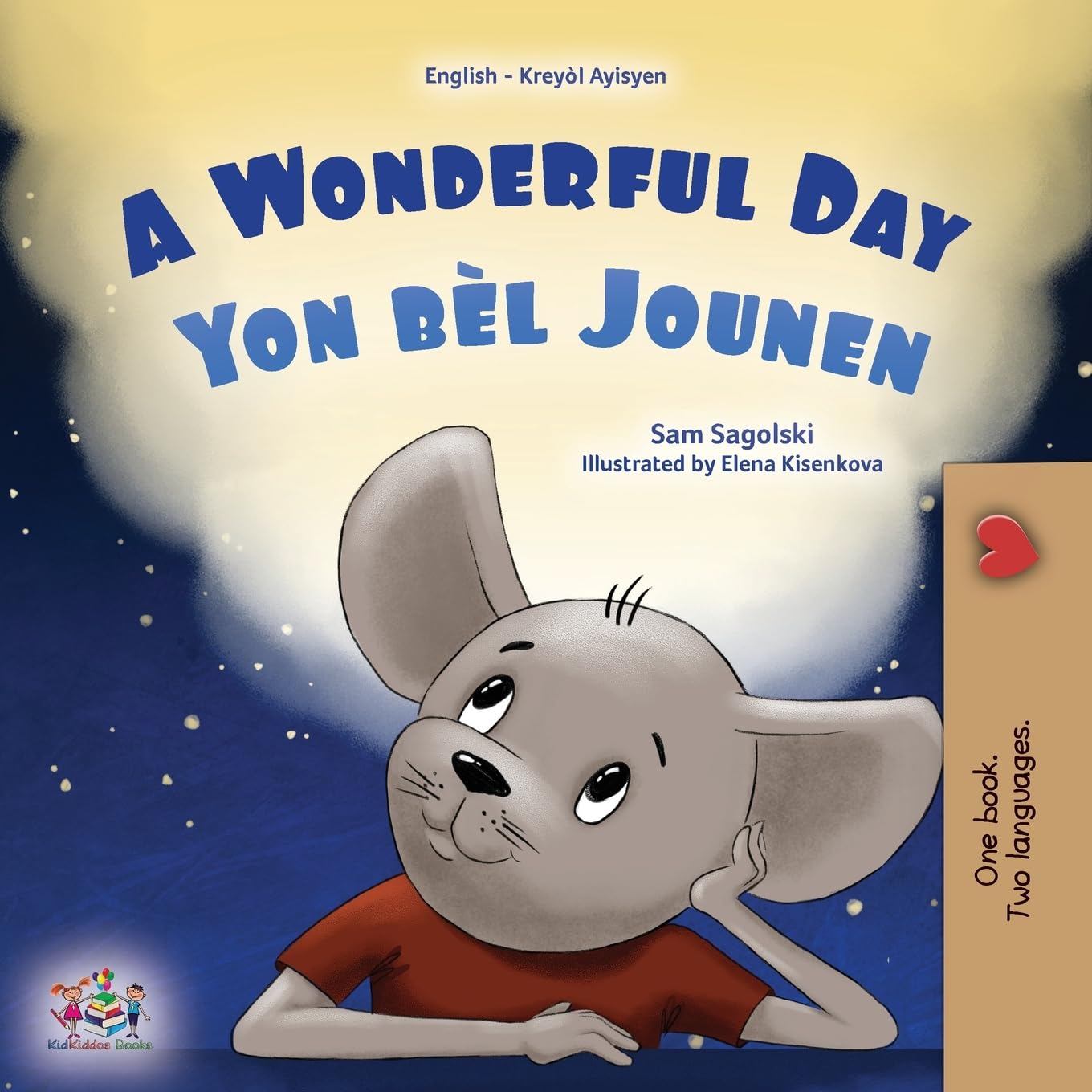 A Wonderful Day (English Haitian Creole Bilingual Children's Book) Foreign Languages ​​& Dictionaries