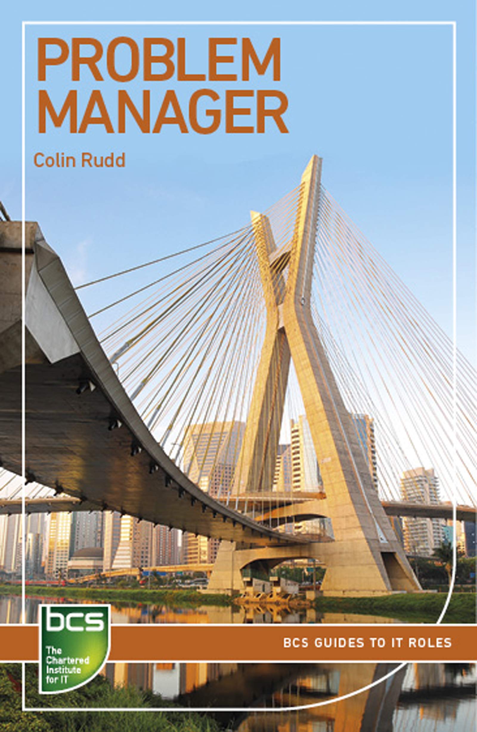 Problem Manager: Careers in IT service management (BCS Guides to IT Roles) Business, Finance & Career
