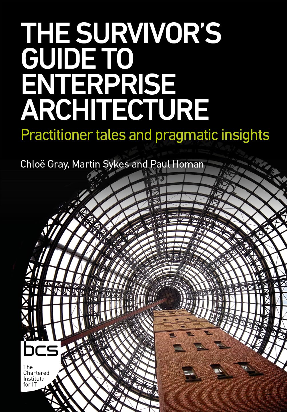 The Survivor's Guide to Enterprise Architecture: Practitioner tales and pragmatic insights Law