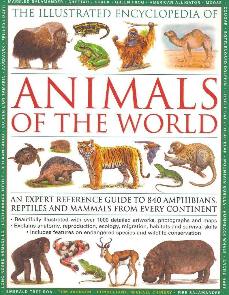 The Illustrated Encyclopedia of Animals of the World: An Expert Reference Guide to 840 Amphibians, Reptiles and Mammals from Every Continent Mathematics