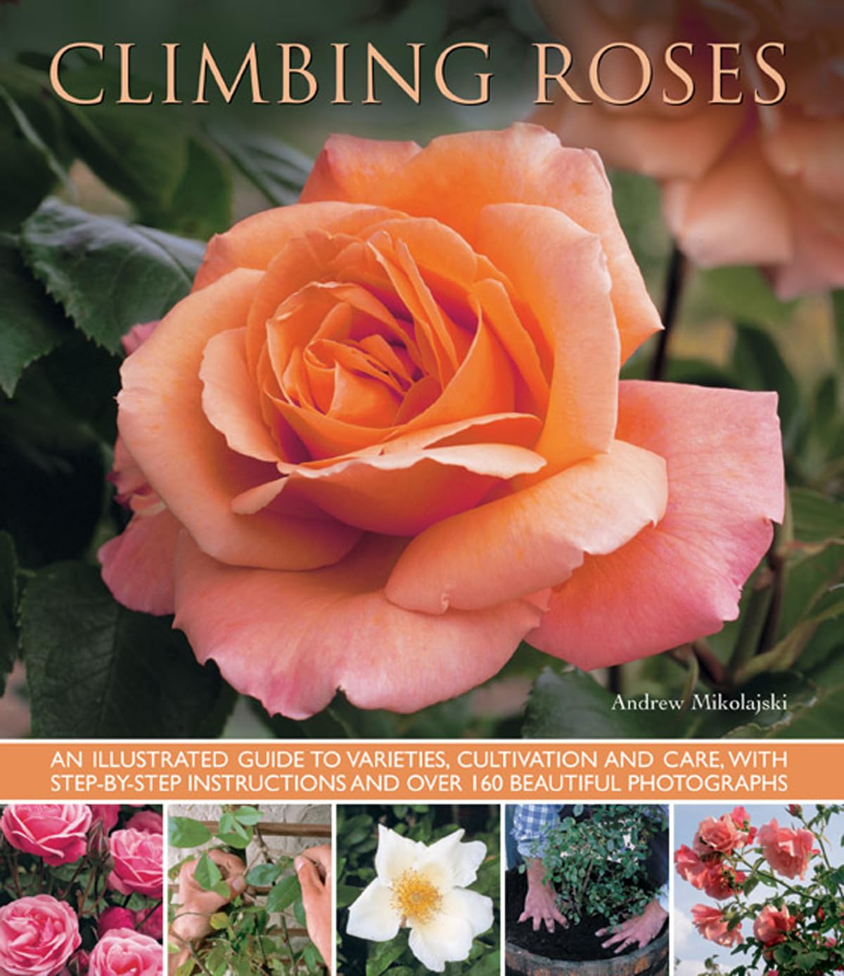 Climbing Roses: an Illustrated Guide to Varieties, Cultivation and Care, with Step-by-step Instructions and Over 160 Beautiful Photographs Garden & Plants