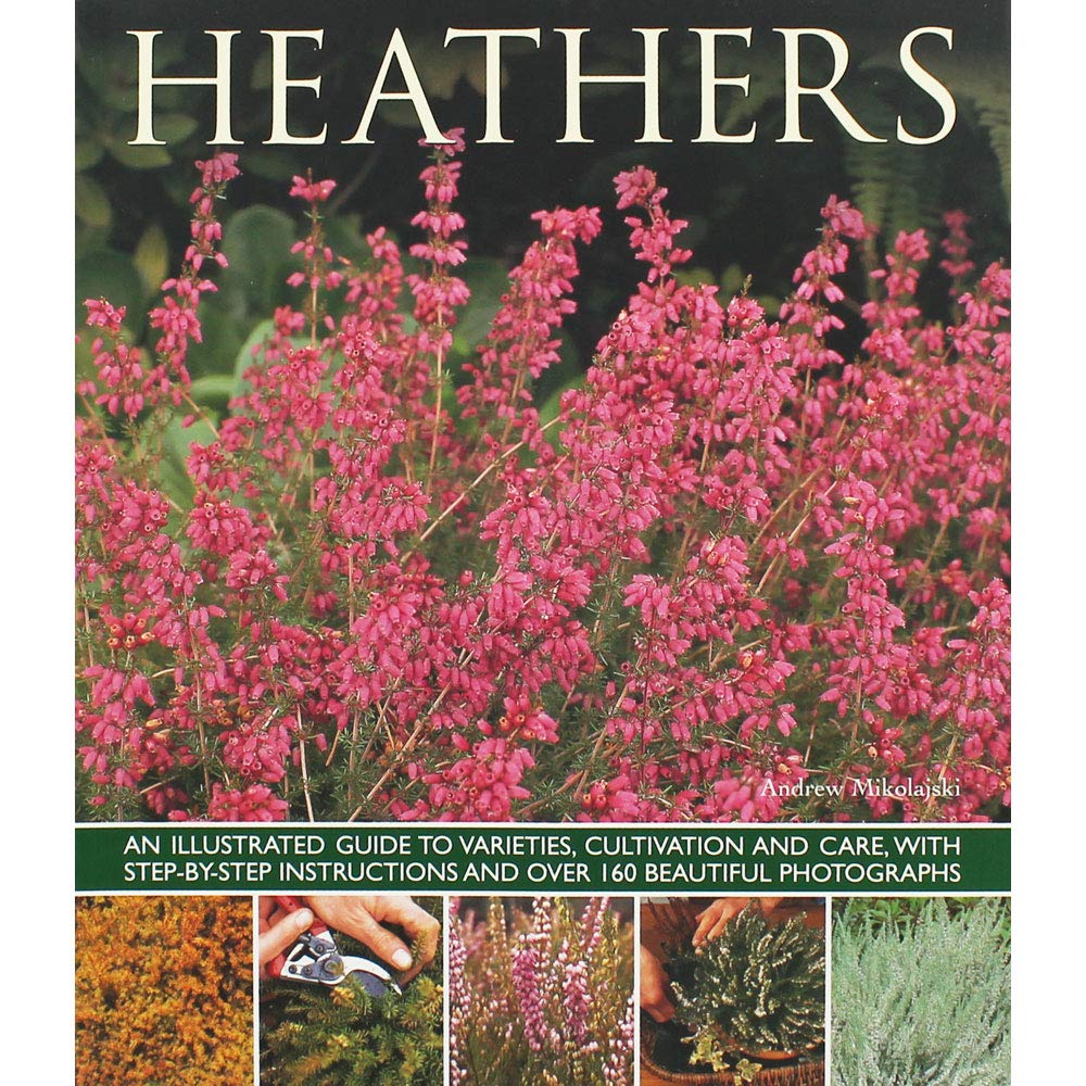 Heathers: An Illustrated Guide to Varities, Cultivation and Care, with Step-by-step Instructions and Over 160 Beautiful Photographs: An Illustrated ... and Over 160 Beautiful Photographs Garden & Plants