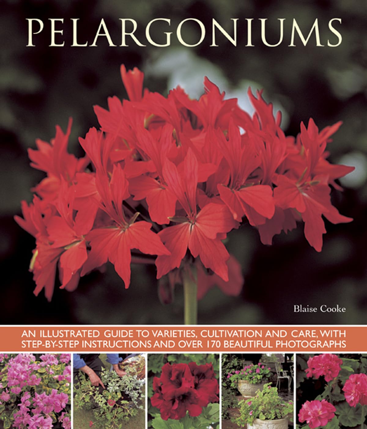 Pelargoniums: An Illustrated Guide to Varieties, Cultivation and Care, With Step-by-Step Instructions and over 170 Beautiful Photographs Mathematics