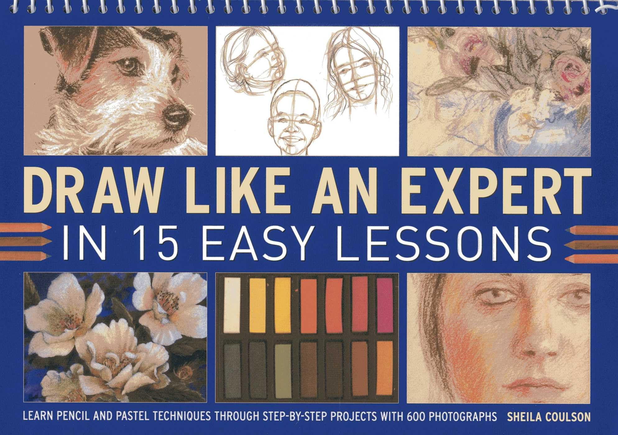 Draw Like an Expert in 15 Easy Lessons: Learn Pencil and Pastel Techniques Through Step-by-step Projects with 600 Photographs Social Sciences