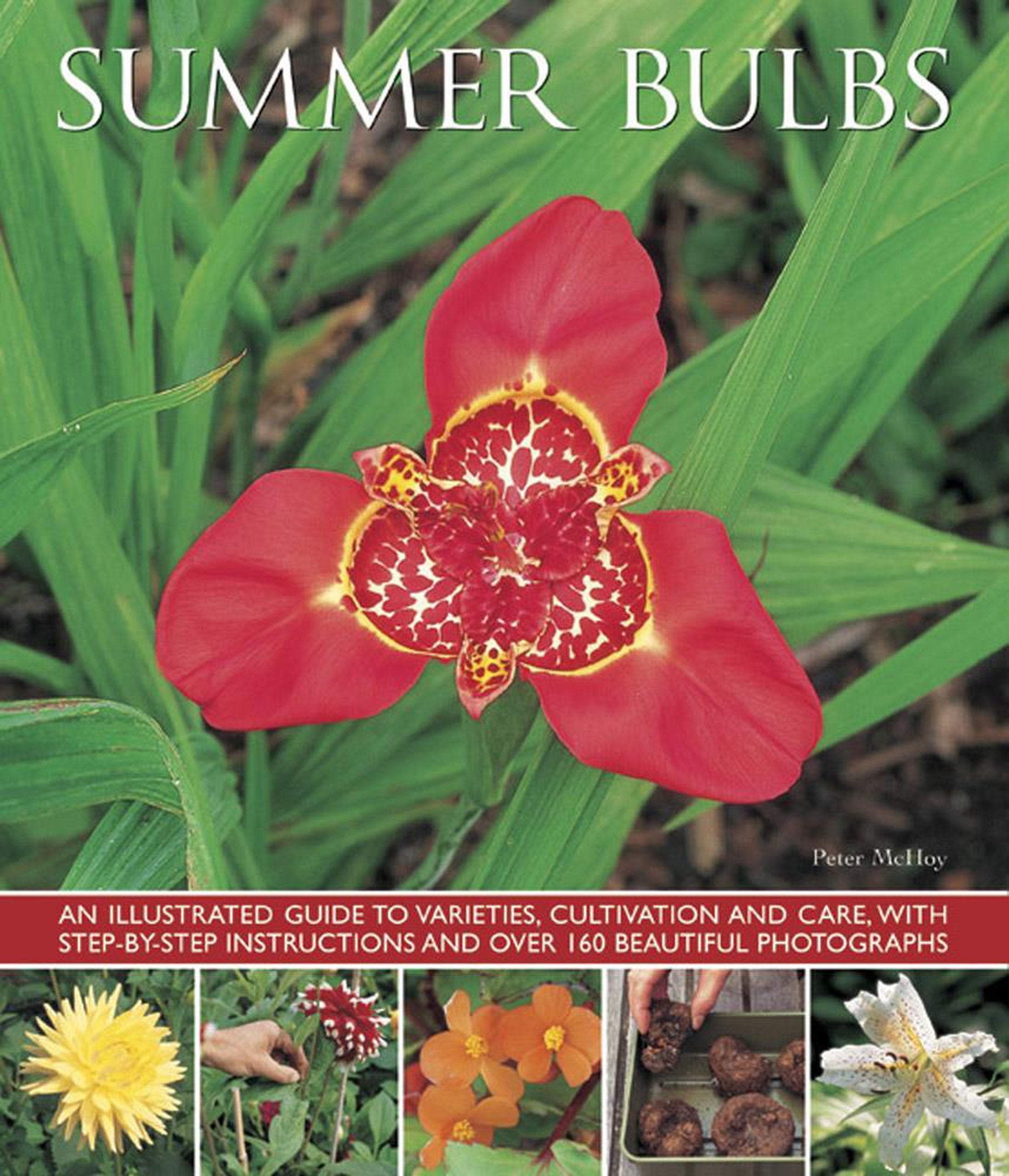 Summer Bulbs: An Illustrated Guide to Varieties, Cultivation and Care, with Step-by-step Instructions and Over 160 Beautiful Photographs Garden & Plants