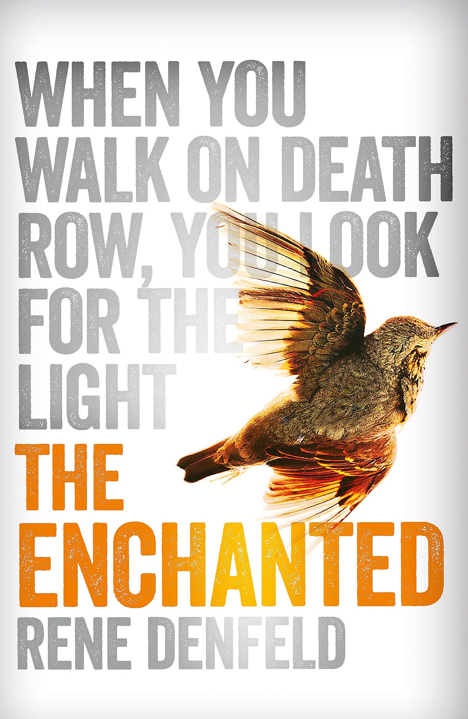The Enchanted: Ausgezeichnet: Prix du Premier Roman Etranger 2014 Contemporary literature
