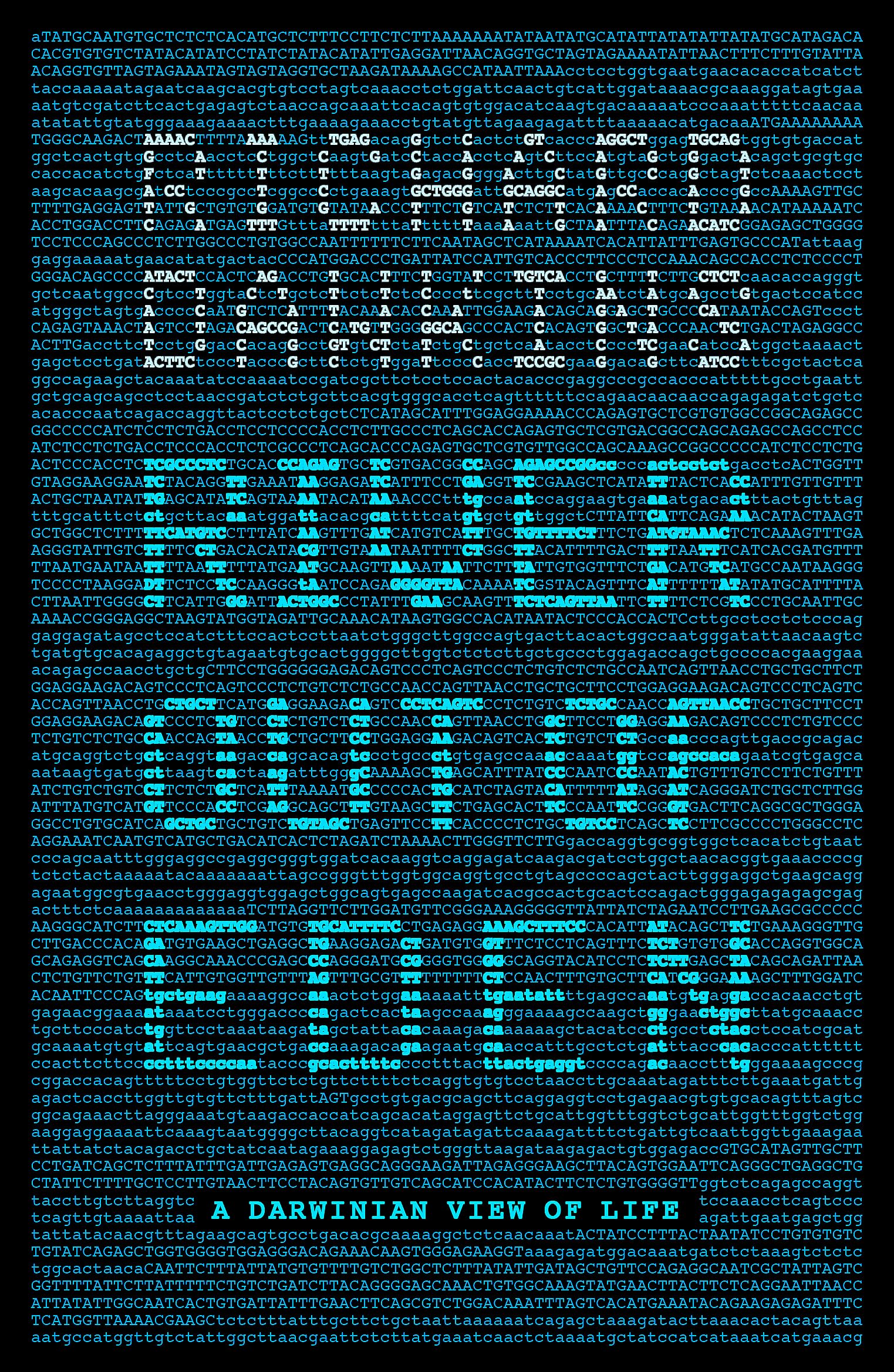 River Out of Eden: A Darwinian View of Life book