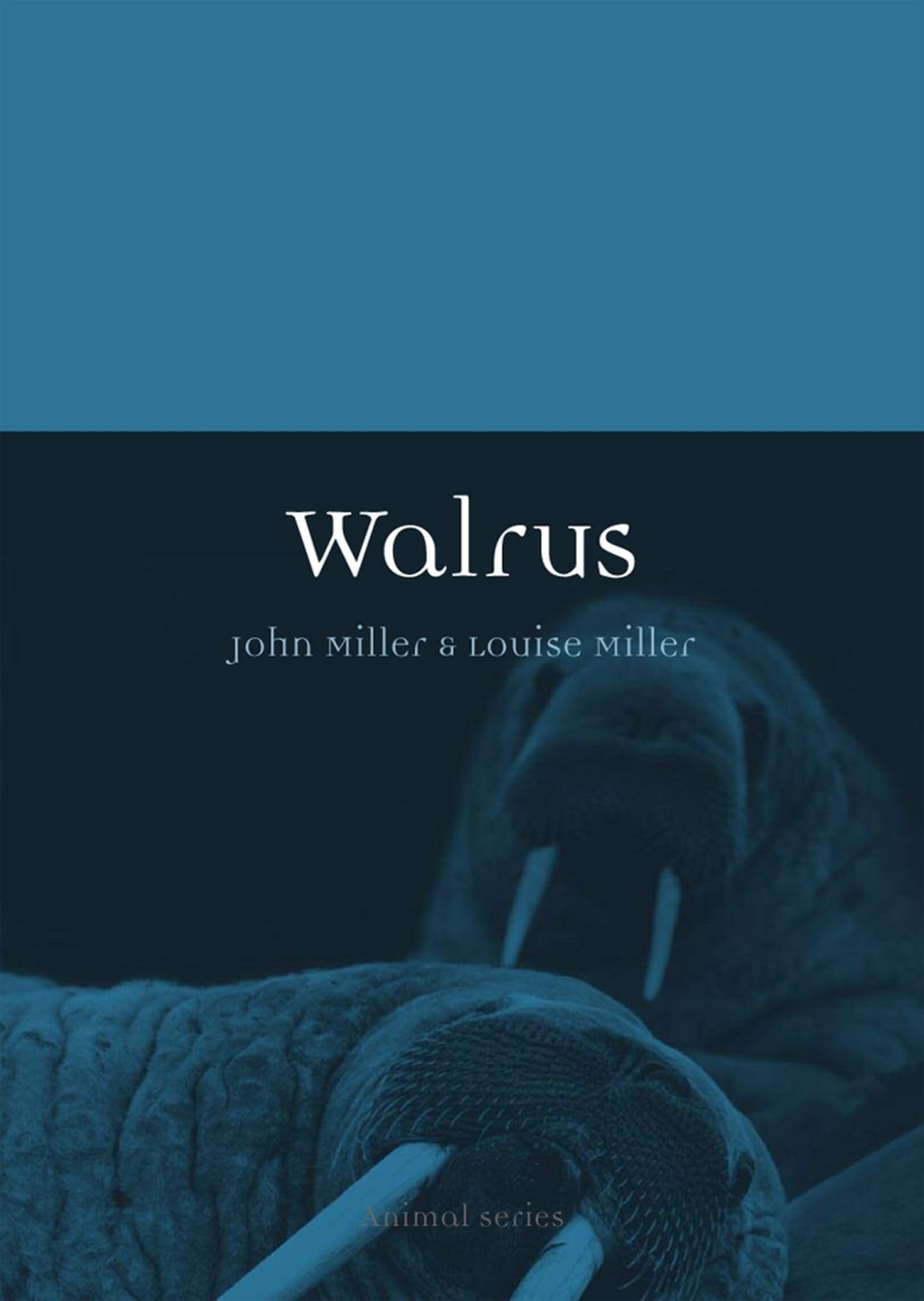 Miller, J: Walrus Study Guides