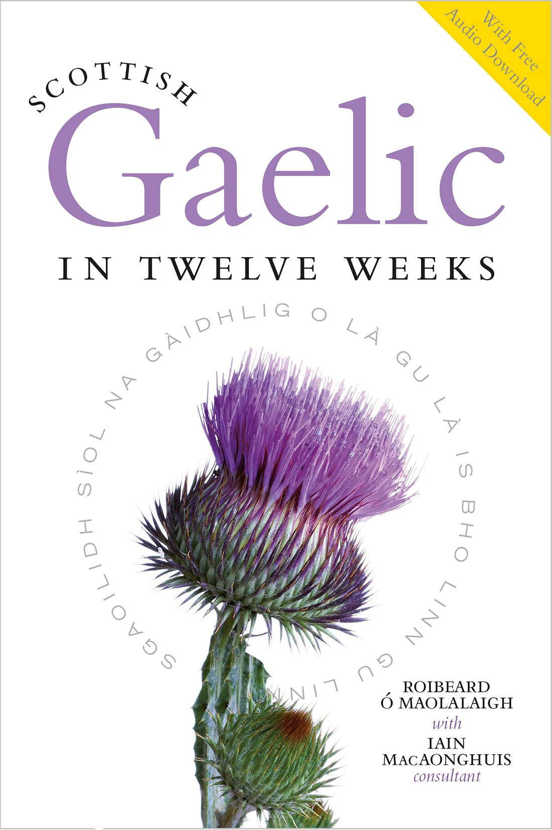 Scottish Gaelic in Twelve Weeks Study Guides