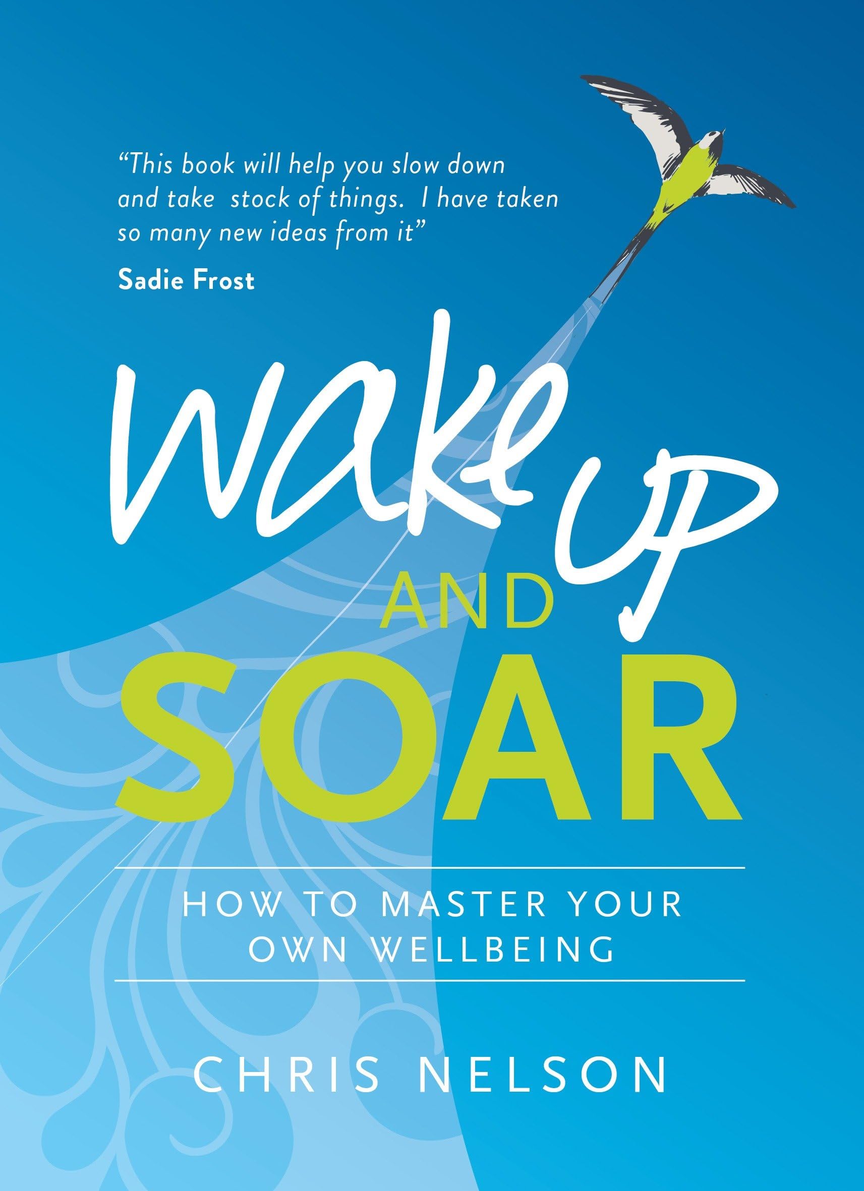 Wake Up and SOAR: How to Master Your Own Wellbeing Business, Finance & Career