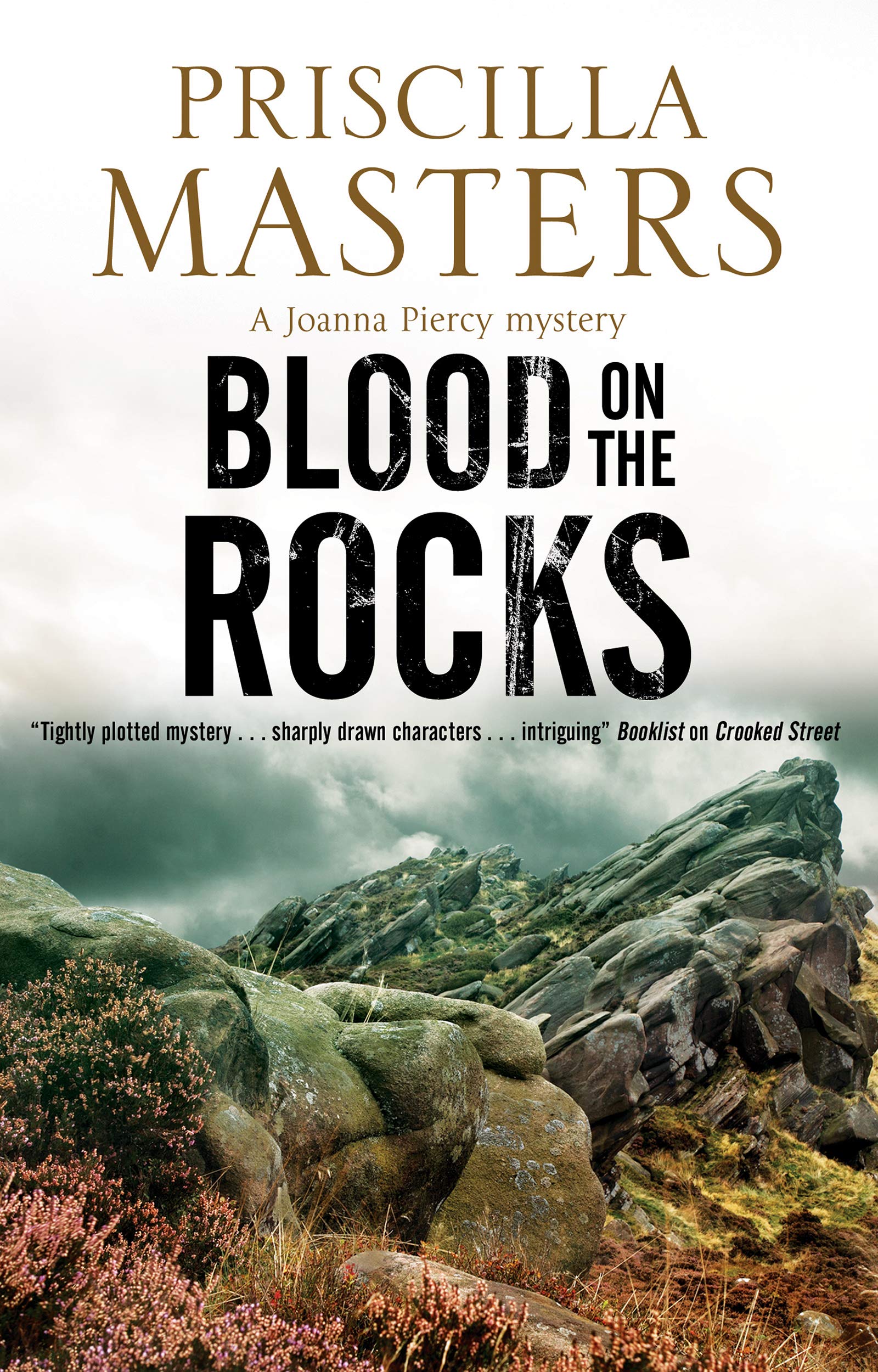 Blood on the Rocks (Joanna Piercy Mysteries, Band 14) Contemporary literature