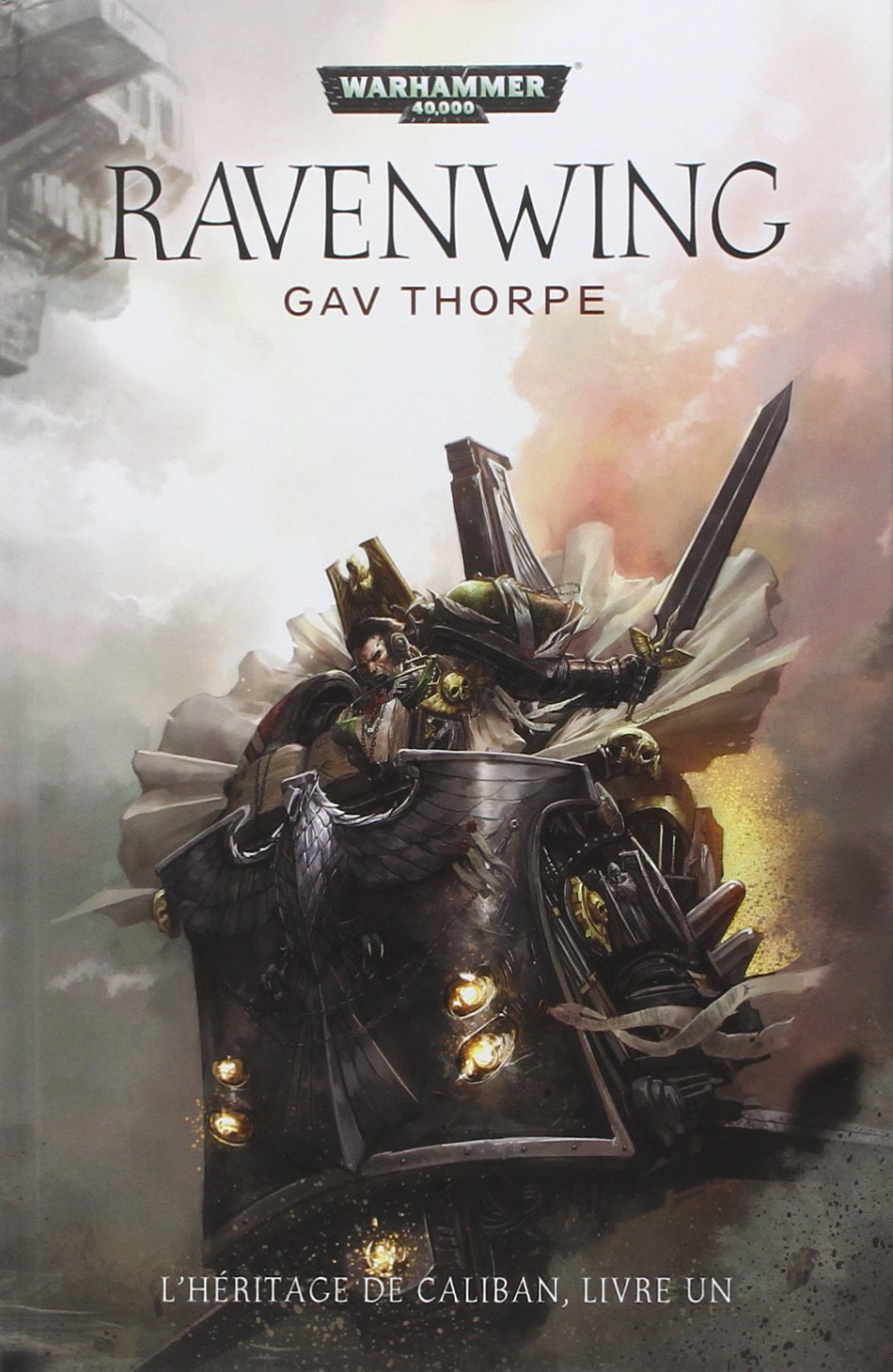 Ravenwing - Dark Angel Tome 1: Dark Angel - Tome 1 Contemporary literature