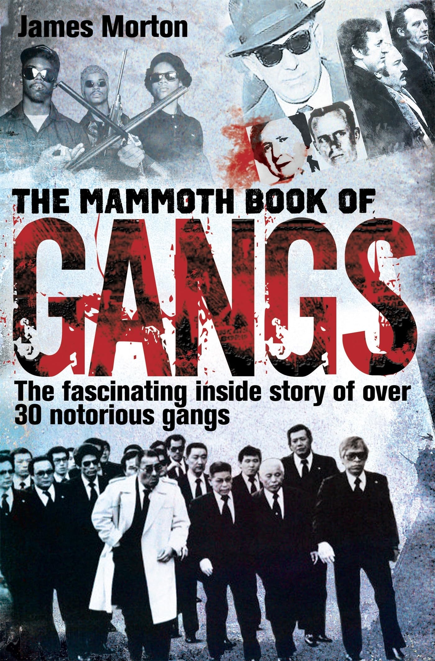 The Mammoth Book of Gangs Law