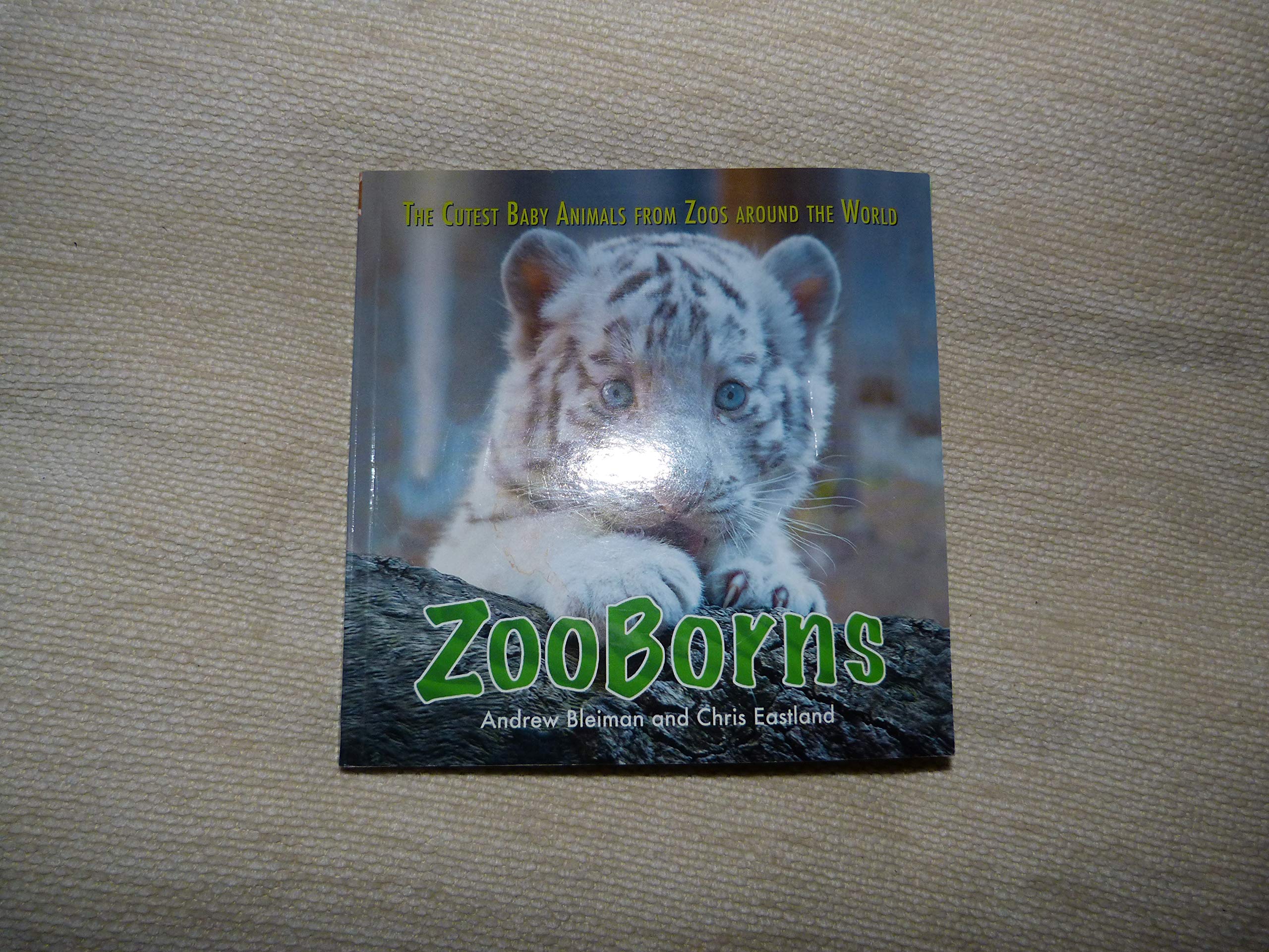 ZooBorns (Not for Trade) Books