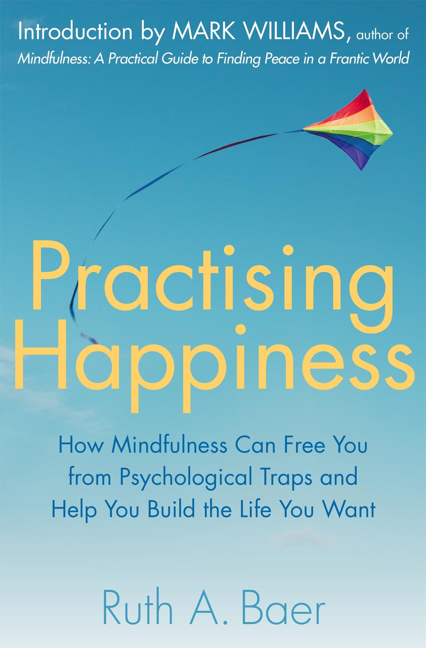 Practising Happiness Business, Finance & Career Books