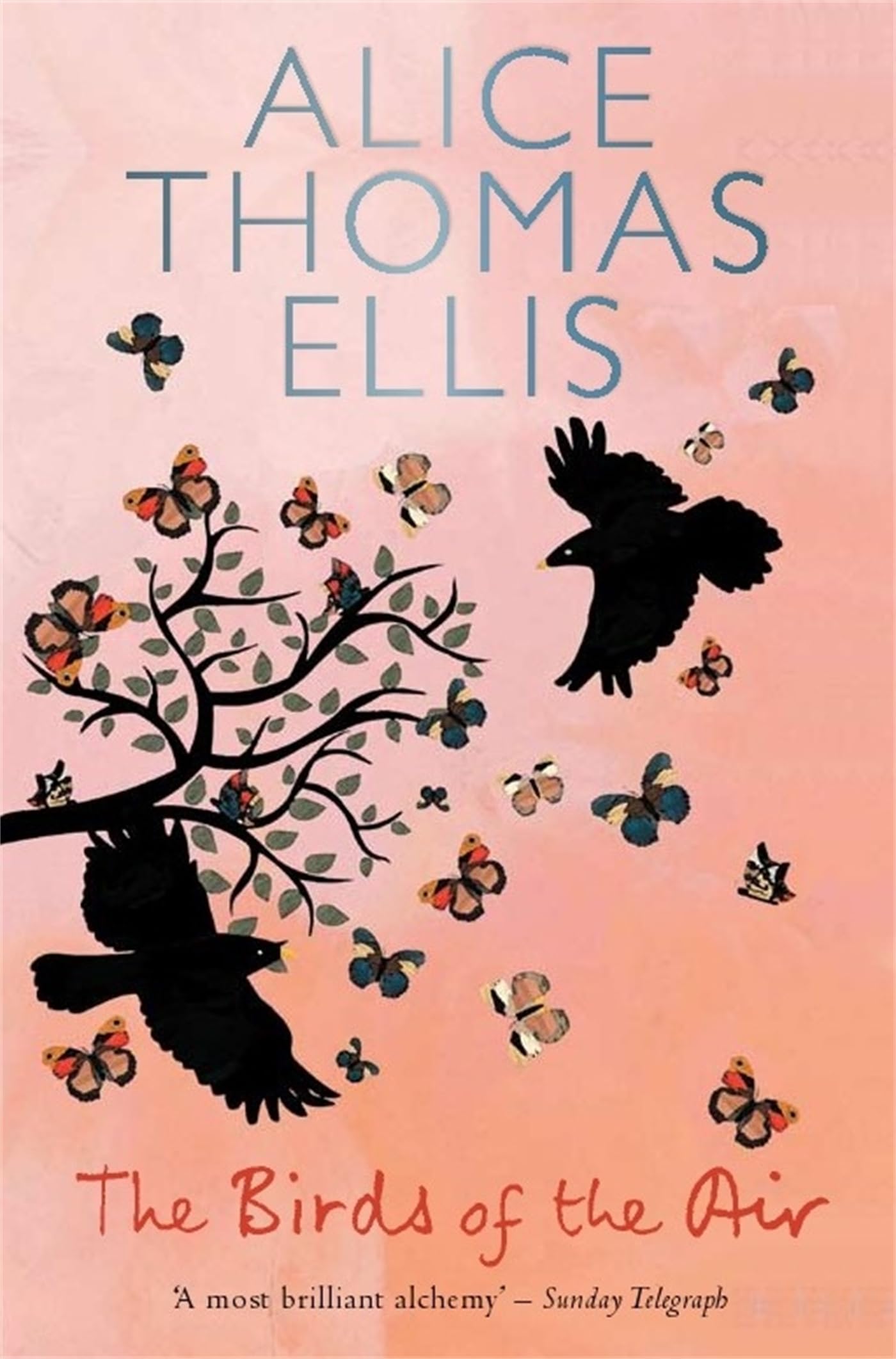 The Birds of the Air book