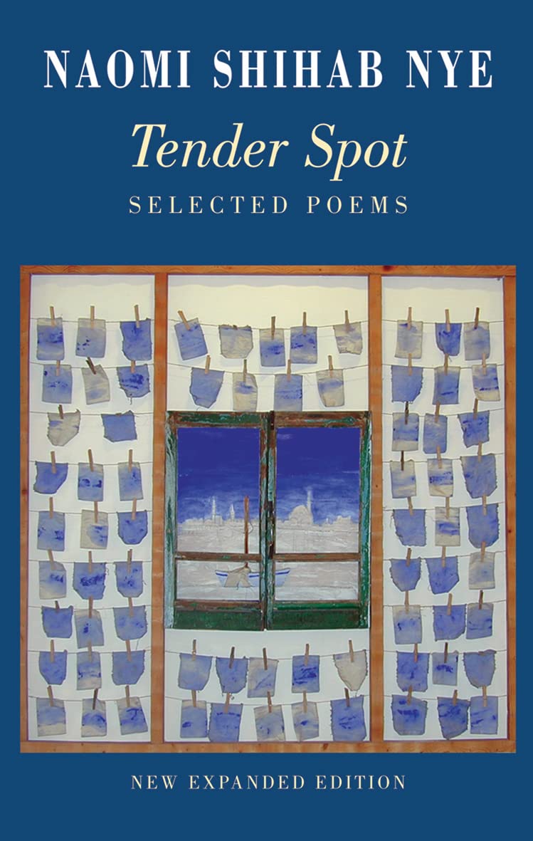 Tender Spot: Selected Poems book