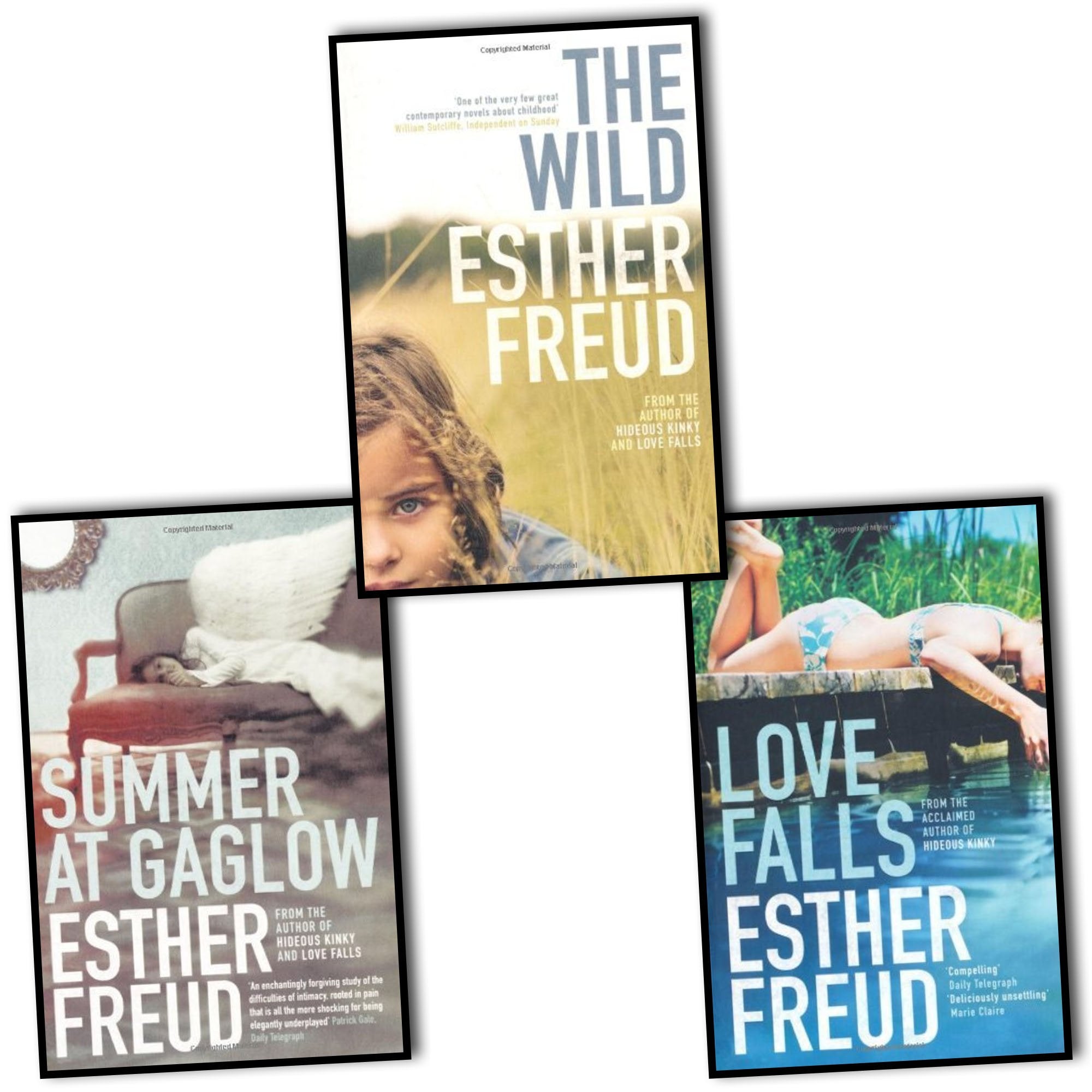Esther Freud 3 Books Collection Pack Set RRP: 25.33 (Summer at Gaglow, Love ... Books