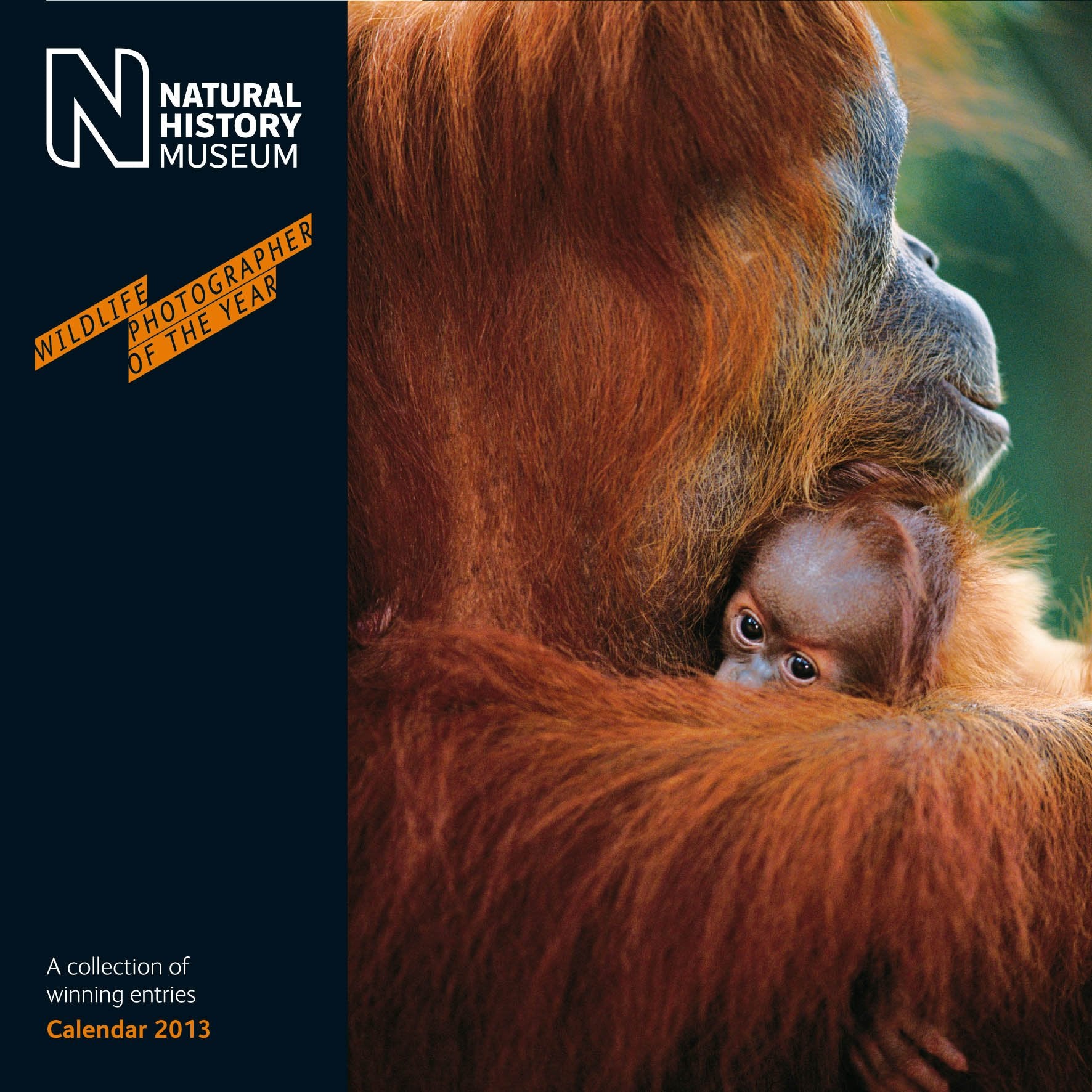 Official Natural History Museum (Wildlife) 2013 Calendar Mathematics