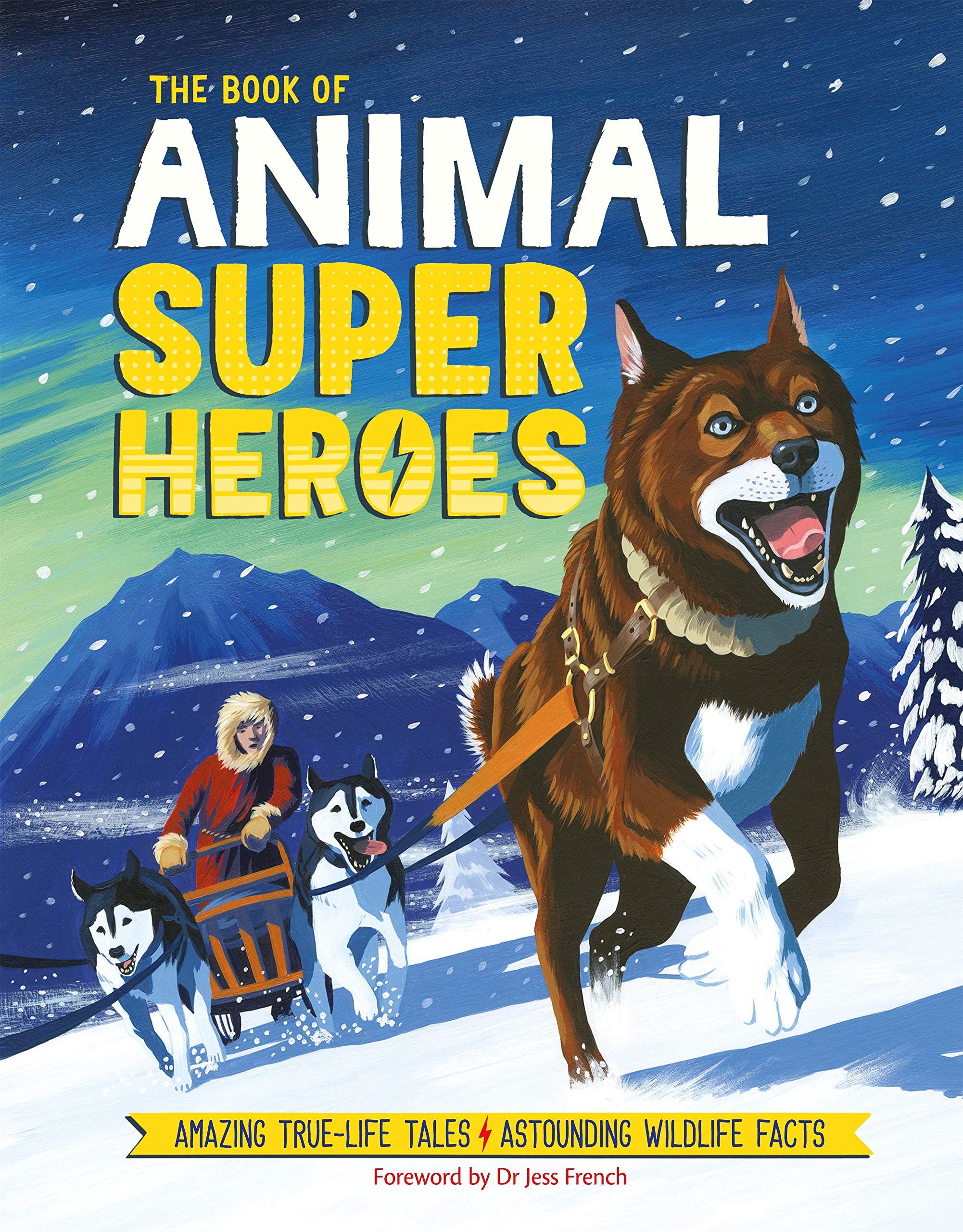 The Book of Animal Superheroes: Amazing True-Life Tales; Astounding Wildlife Facts Tiptoi & Games