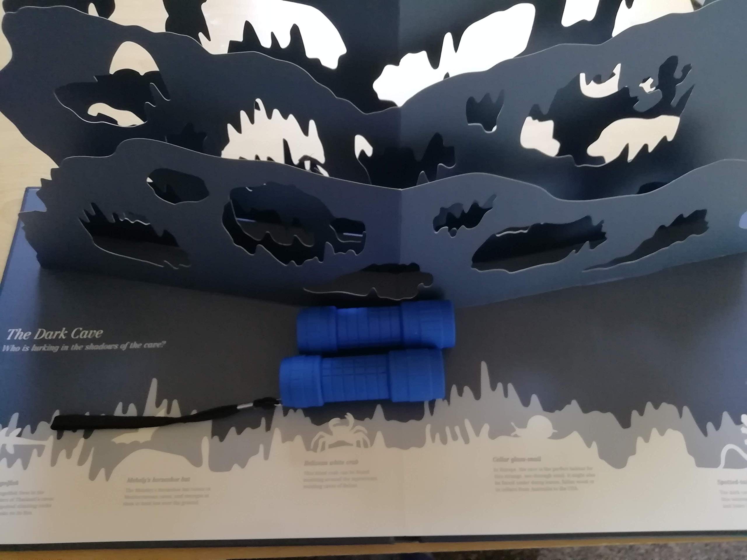 Product Image: Midnight Creatures : A Pop-up Shadow Search