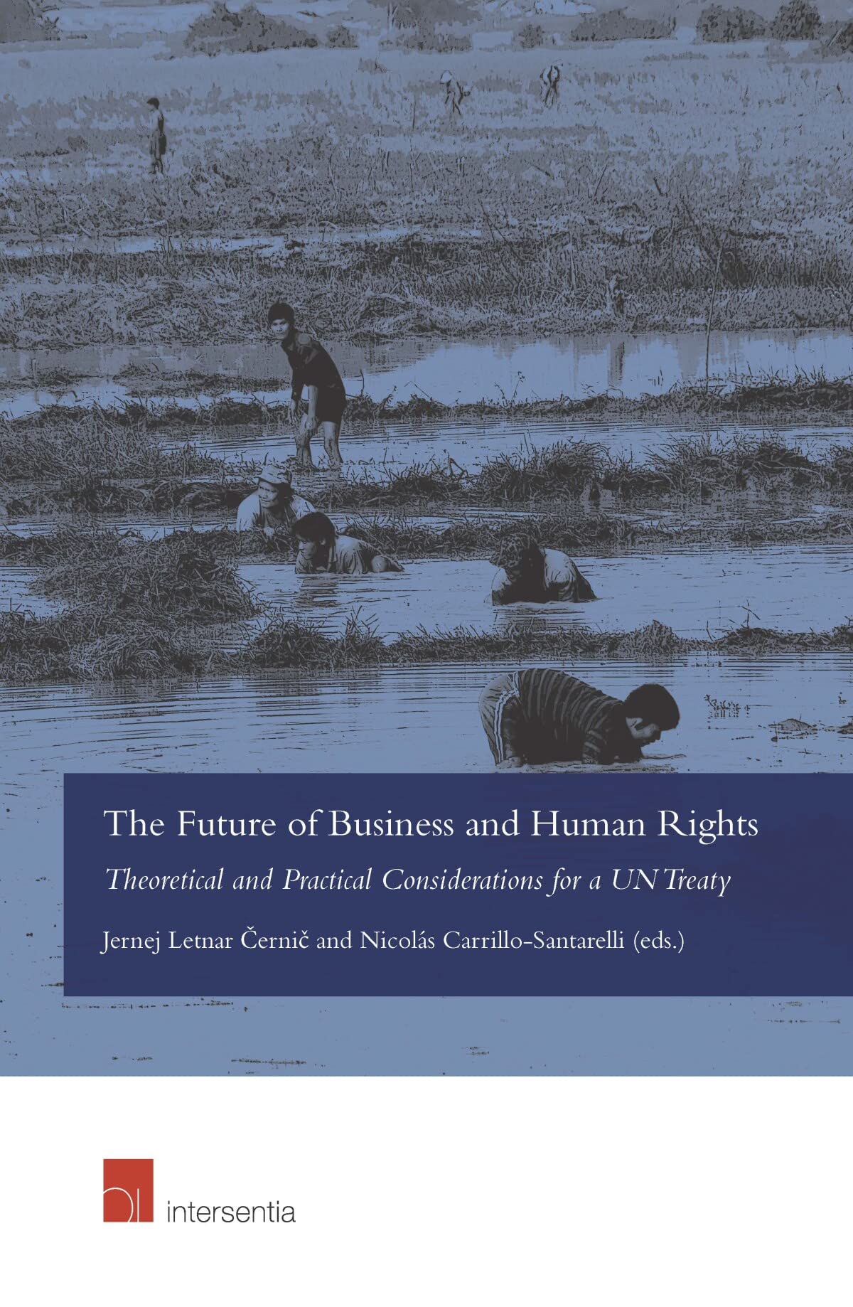 The Future of Business and Human Rights: Theoretical and Practical Considerations for a UN Treaty Law