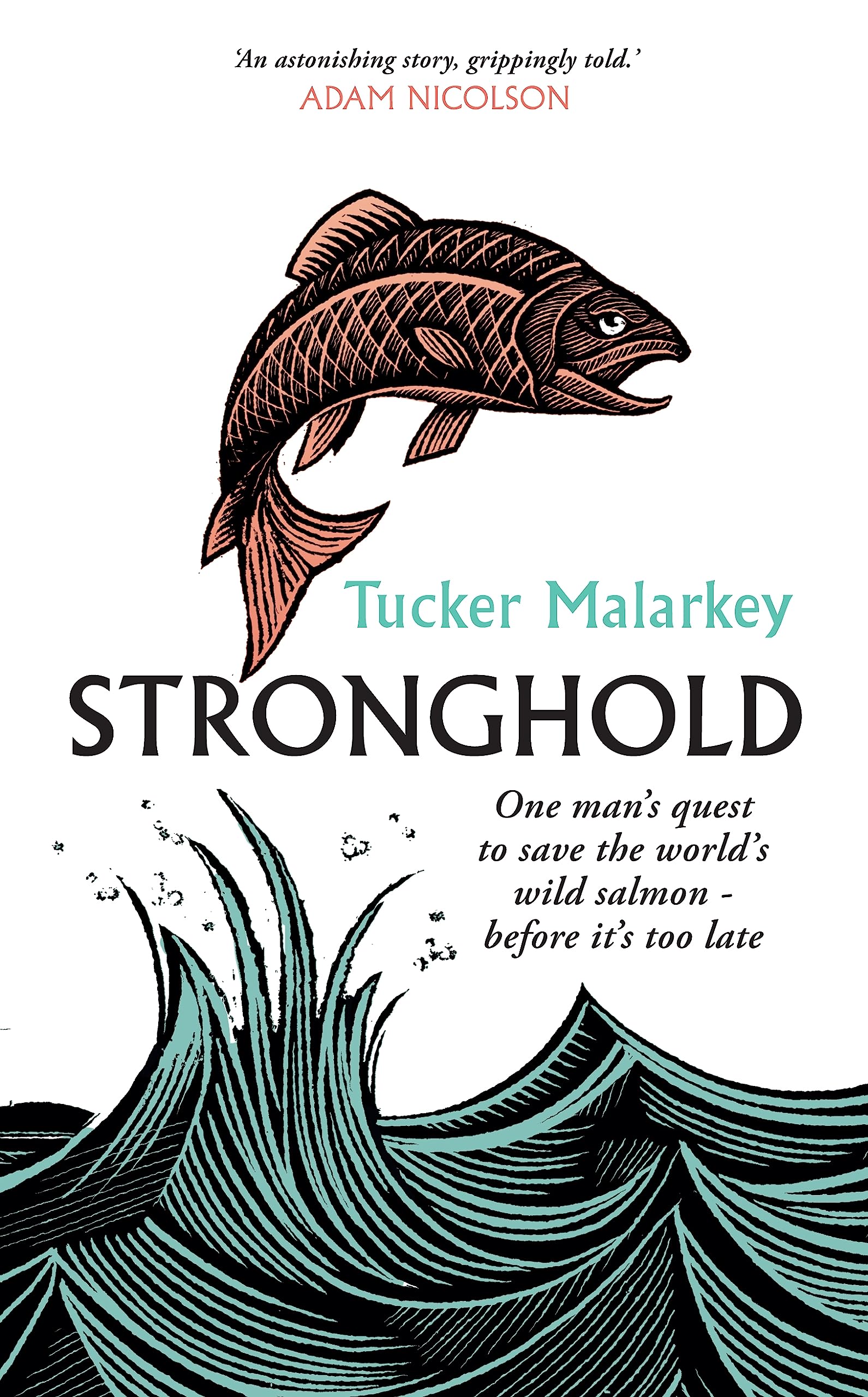 Stronghold: One man's quest to save the world's wild salmon - before it's too late Mathematics