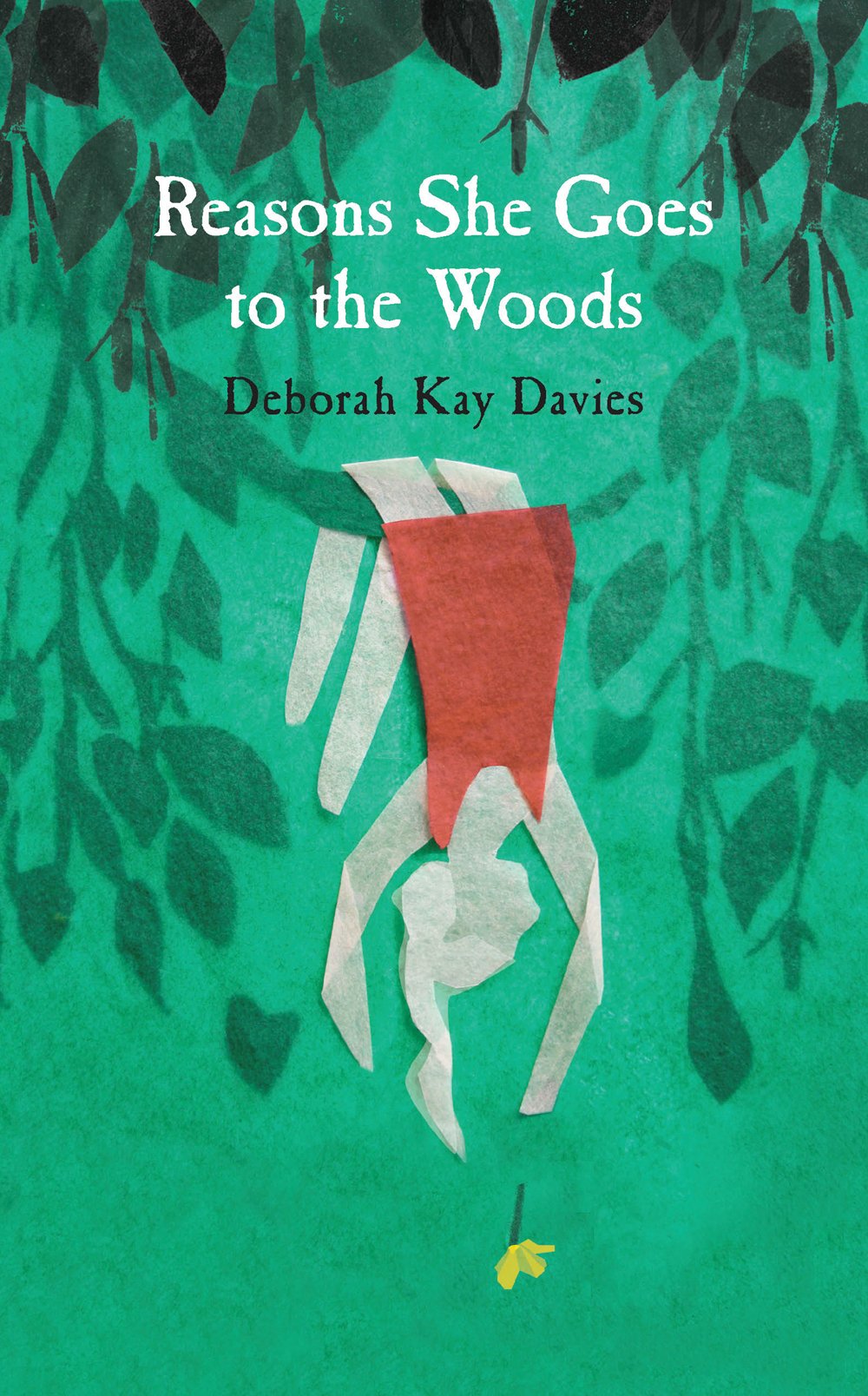 Reasons She Goes to the Woods book