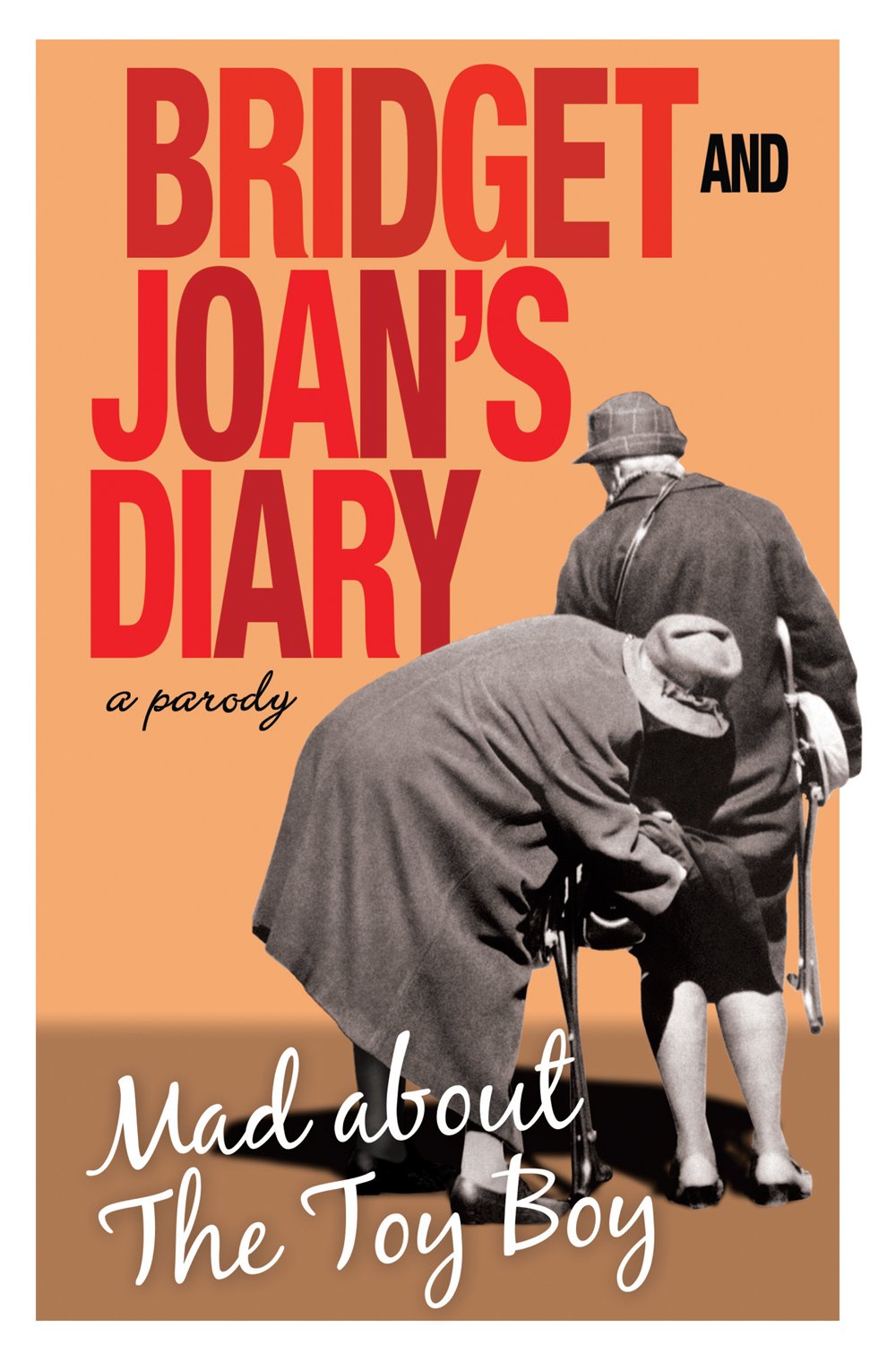 Bridget and Joan's Diary: A Parody: Mad About the Toy Boy Humour & Satire